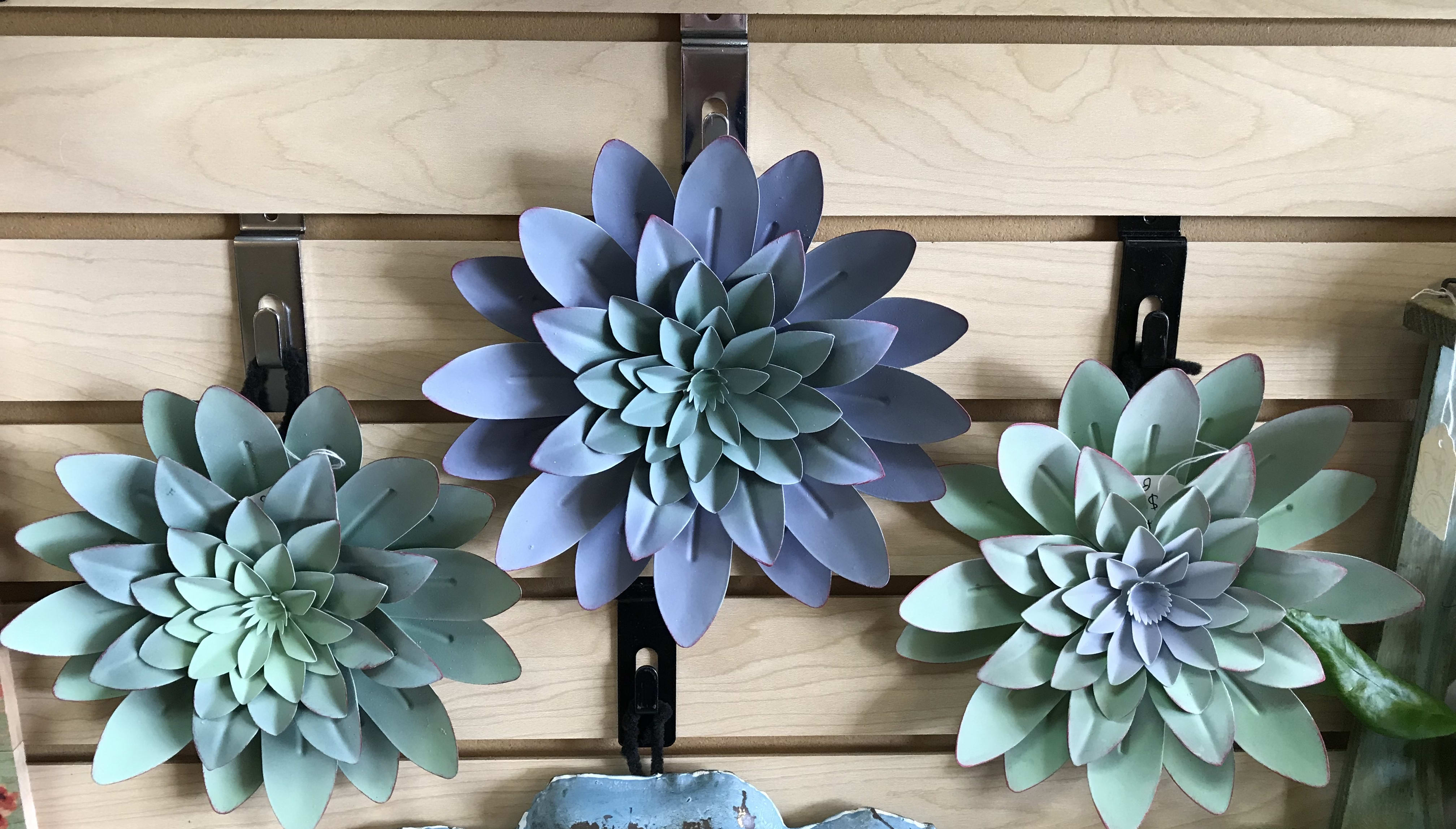 Hanging Succulent Bedroom Decor