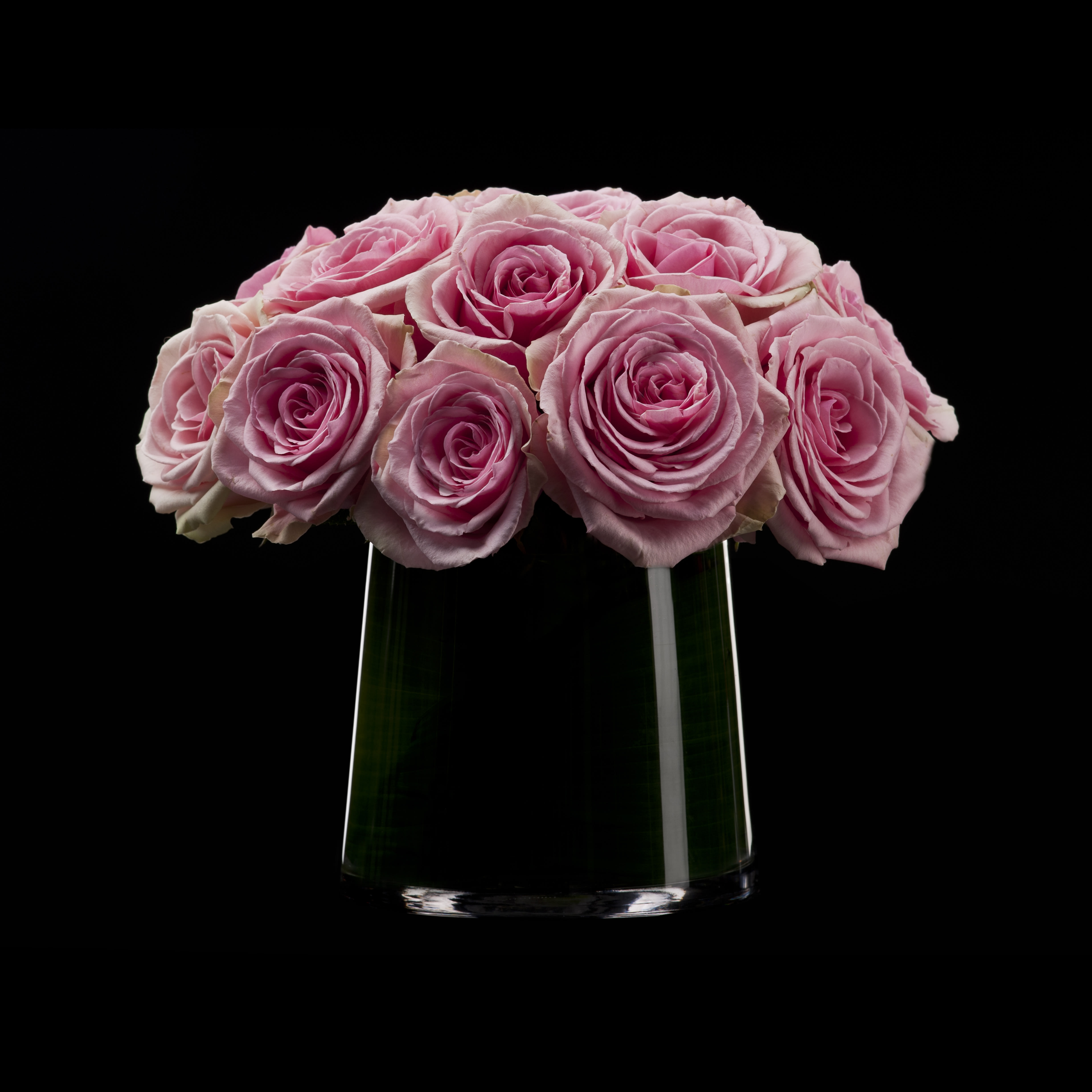 Pink Roses in Houston, TX David Brown Flowers