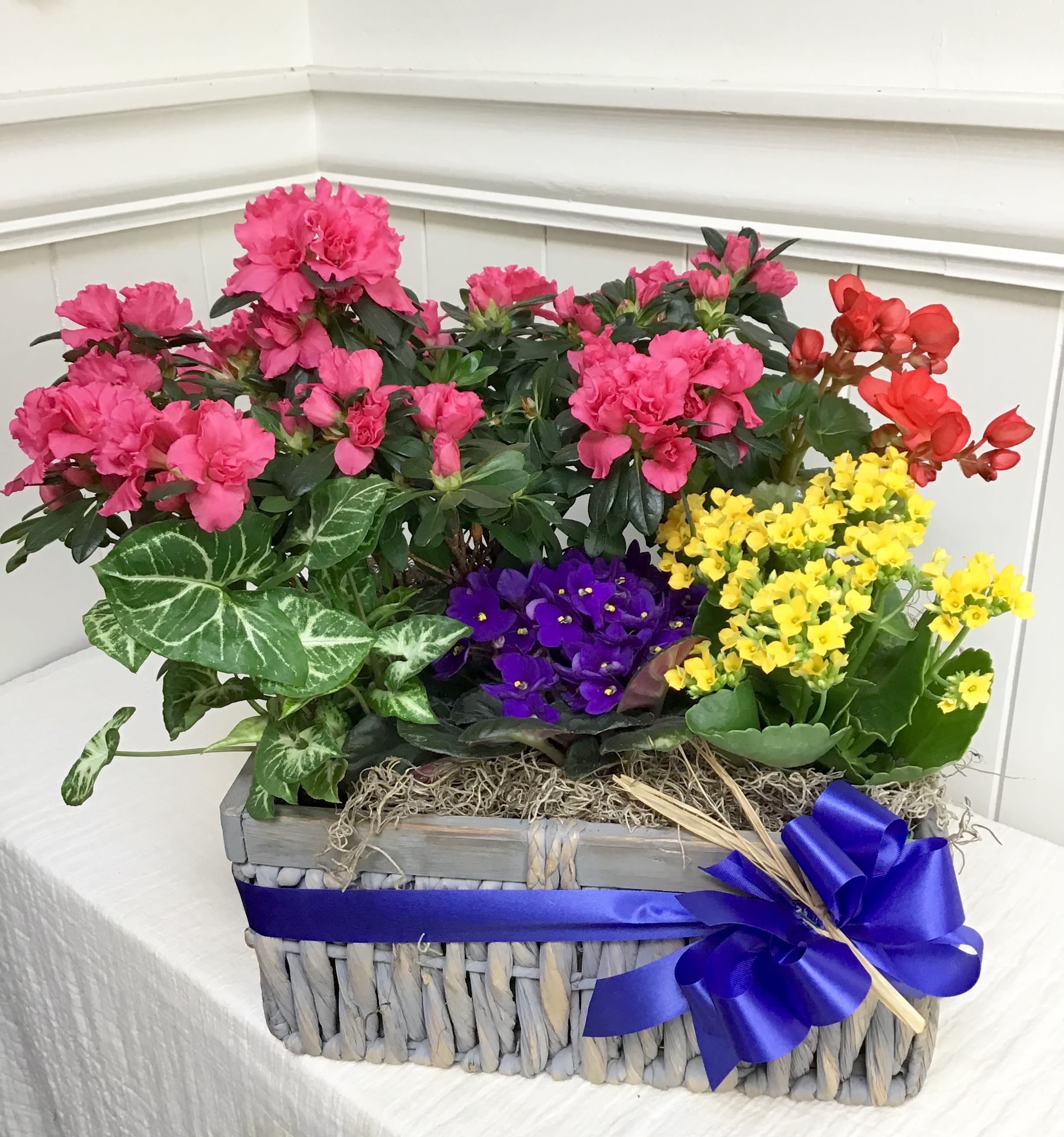 Blooming Garden in Seattle, WA LaVassar Florists