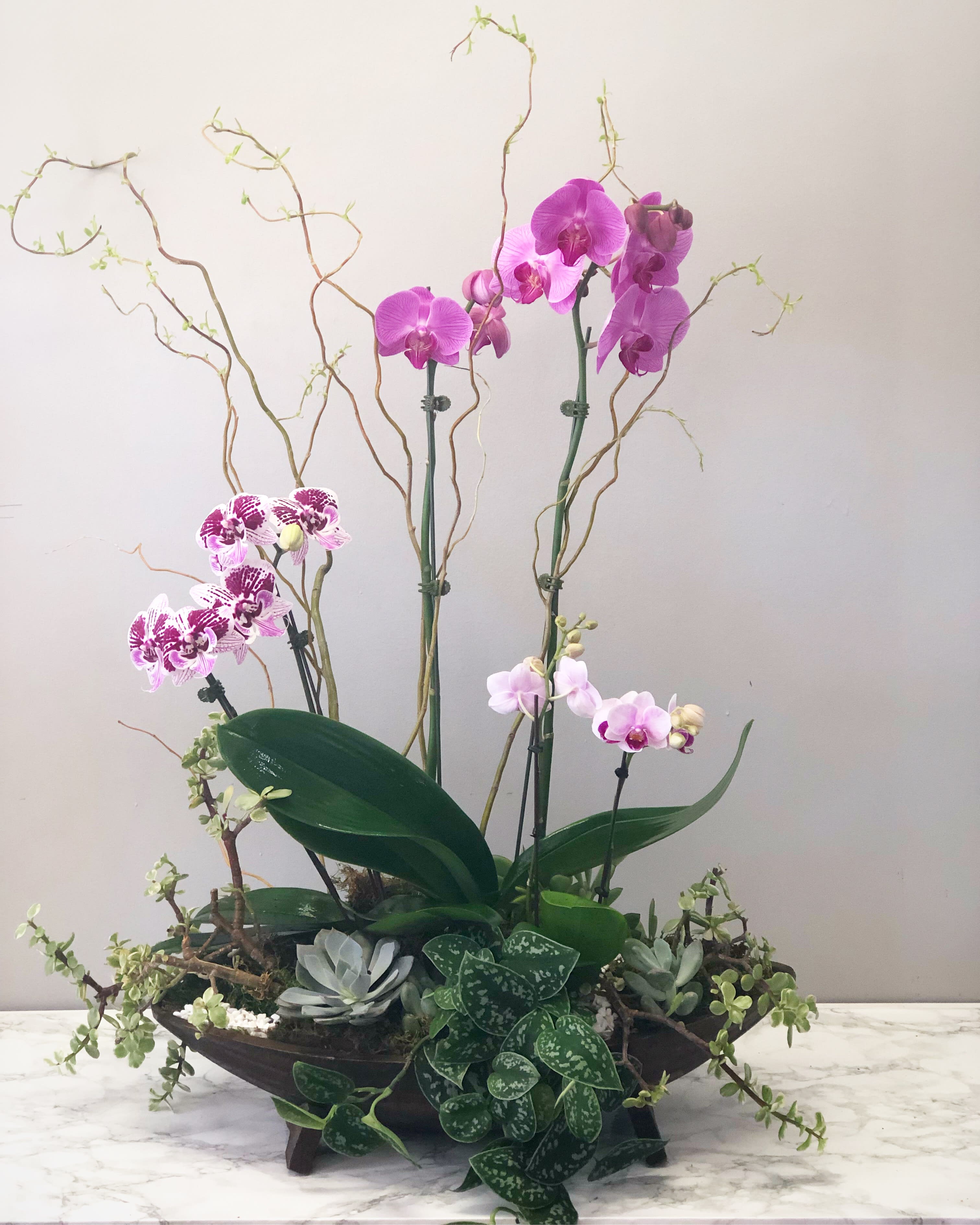 Purple Orchids In Wooden Boat In Corona Del Mar Ca Botanica