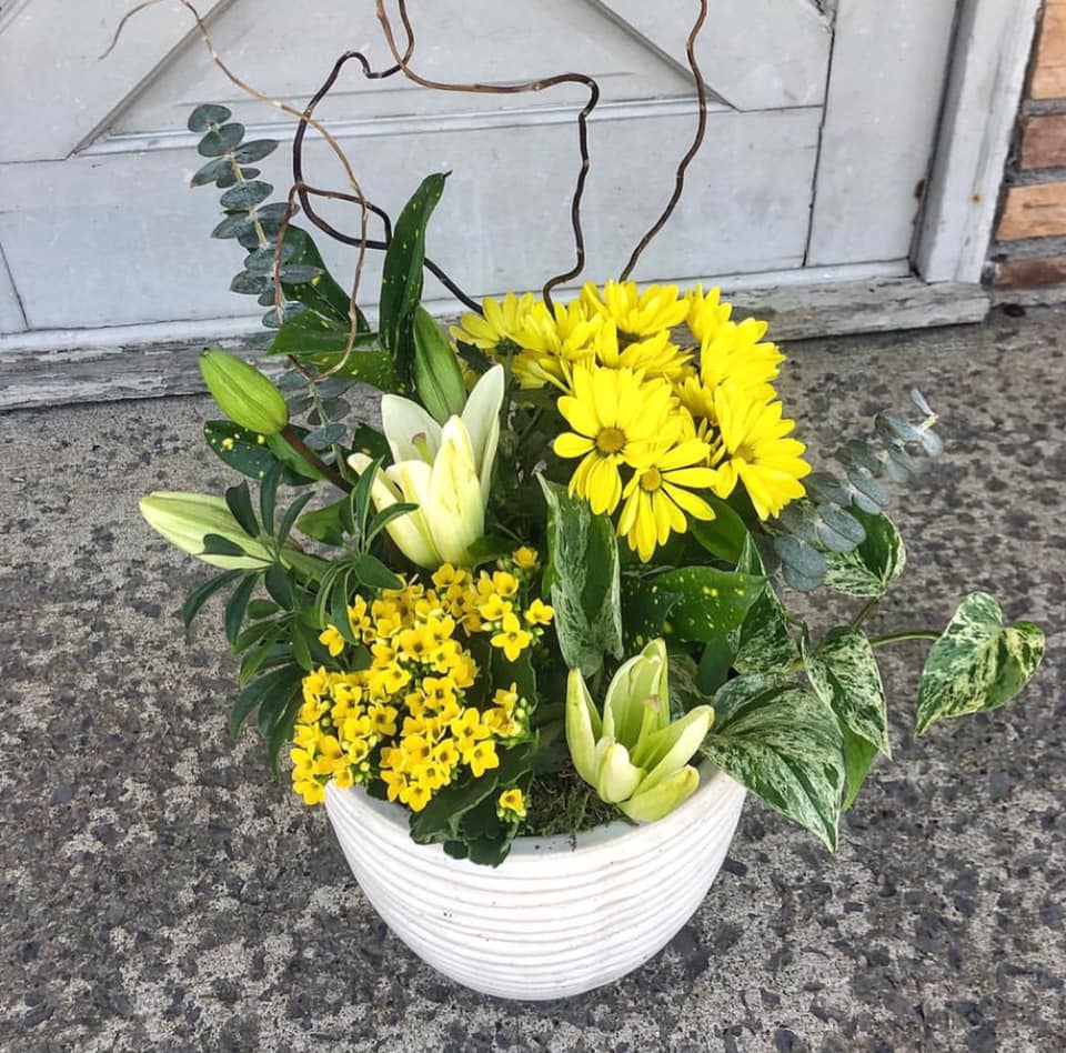 Marys4everflowers Sunshine Dish Garden In Vernon Ny