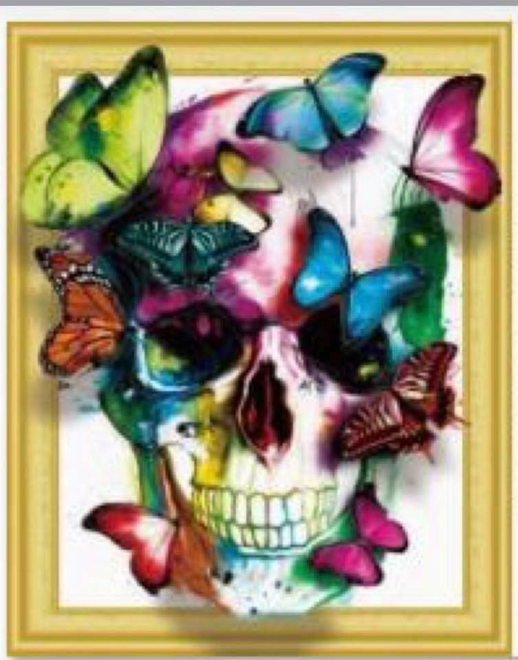 Skull With Butterflies Diamond Painting Kit In Poseyville In