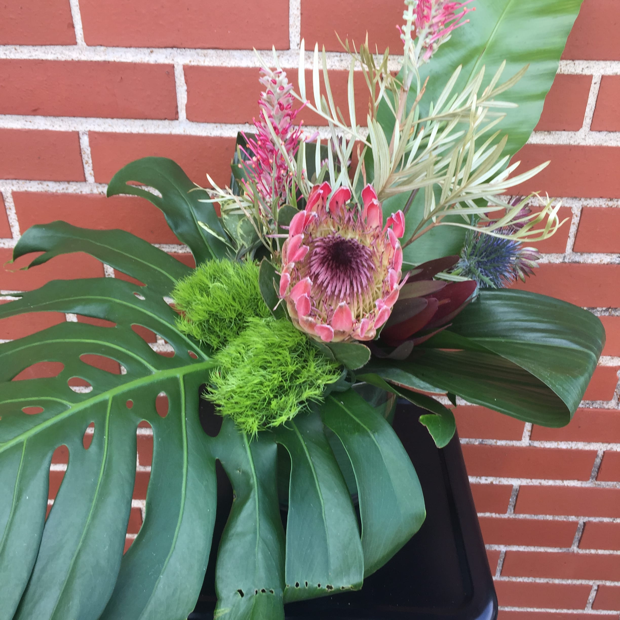 Tropical Living In Saint Louis Mo Garden Party Florists Gifts