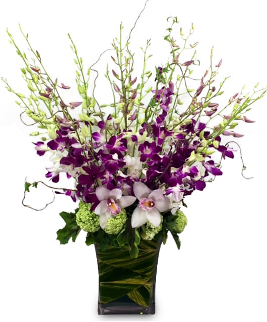 Bombay Galore By Newport Florist NF252 in Newport Beach, CA Newport