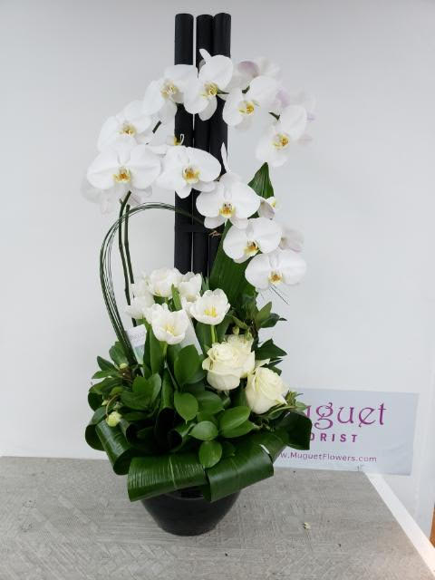 Orcheds And Tulip By Muguet Florist