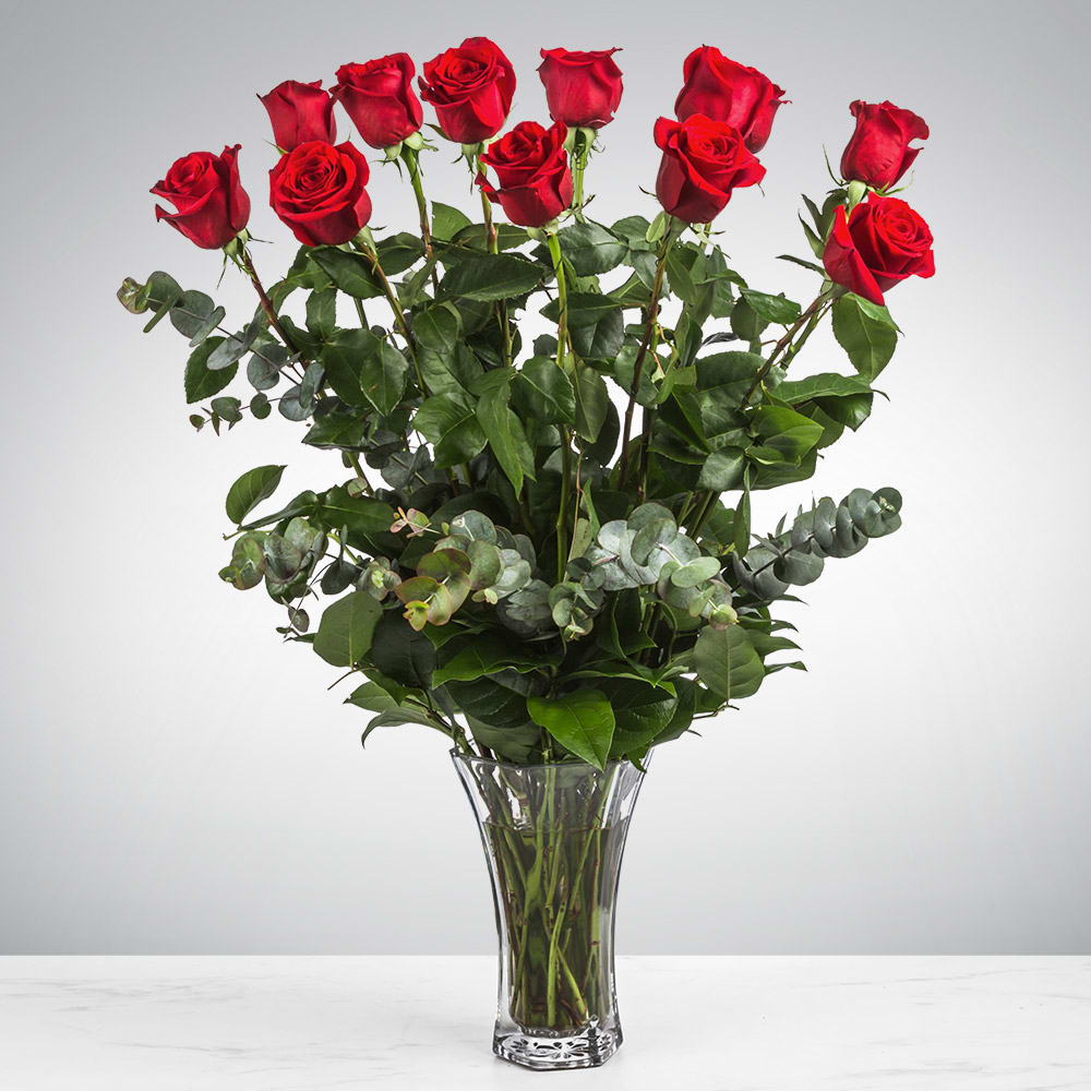 Dozen Long Stemmed Red Roses By Bloomnation In Glen Head Ny Beautiful Flowers