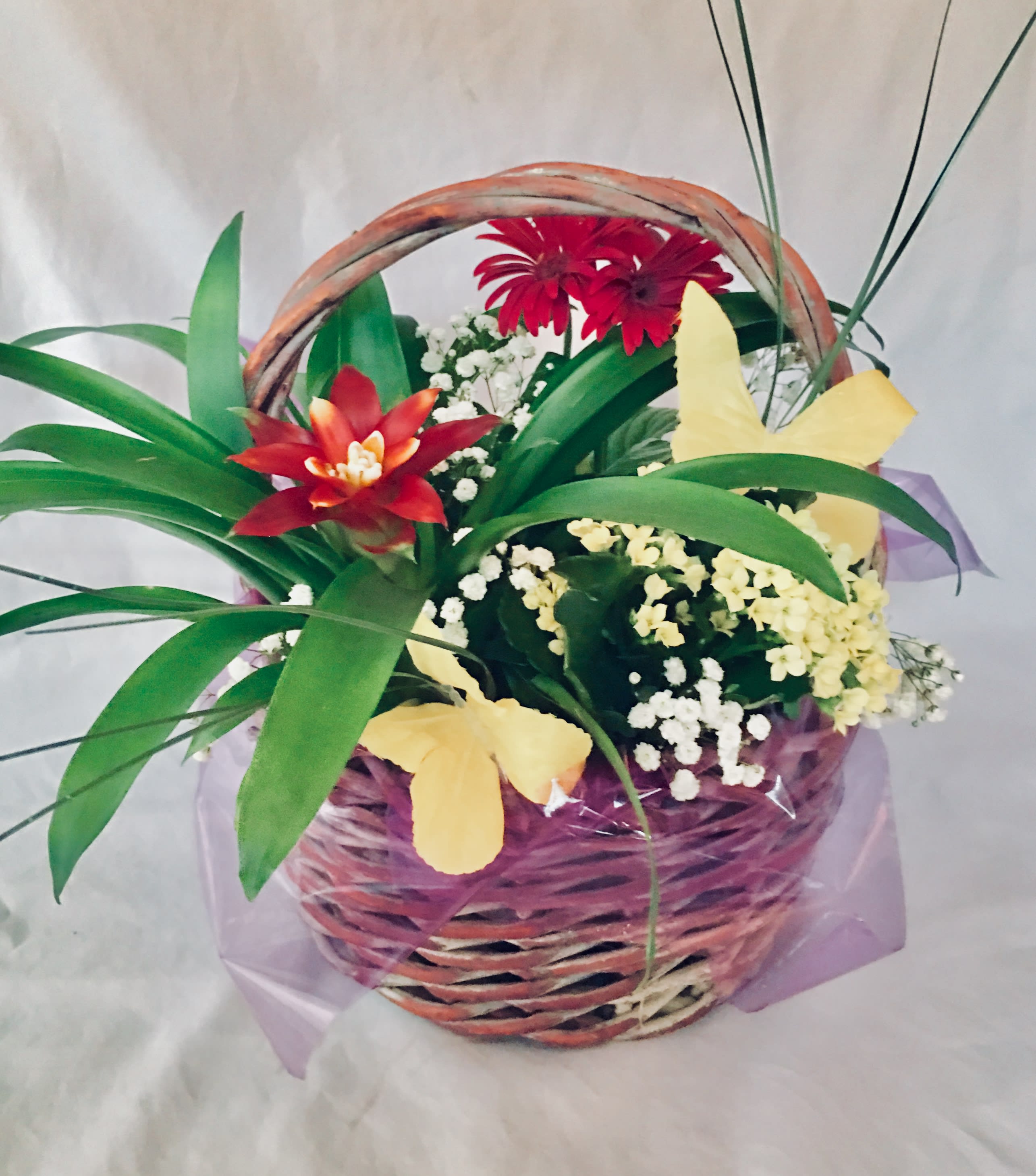 Botanical Basket in Milwaukee, WI May Flowers Milwaukee