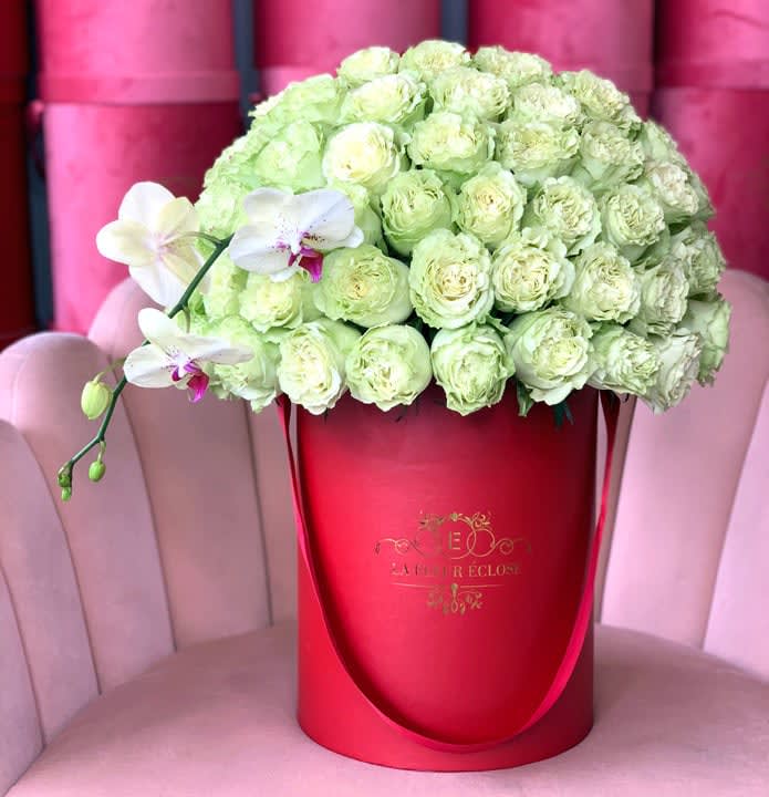 50 Pale Green Roses Orchids In Our Signature Box In Encino Ca La Fleur Eclose