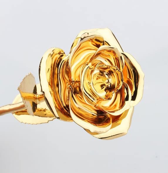 Everlasting 24kt Gold Plated Single Real Rose Preserved In Brooklyn Ny