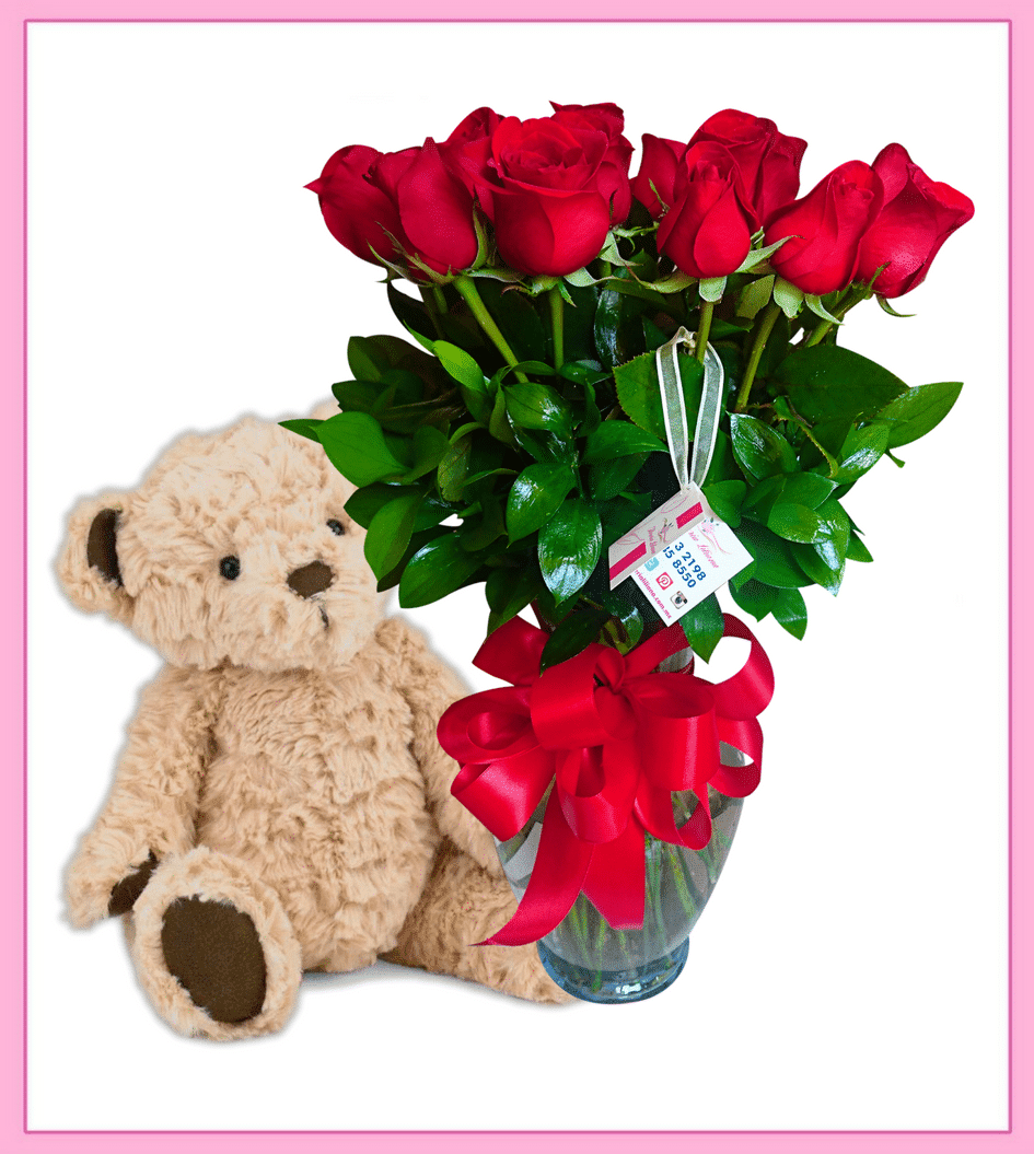 dozen roses teddy bear