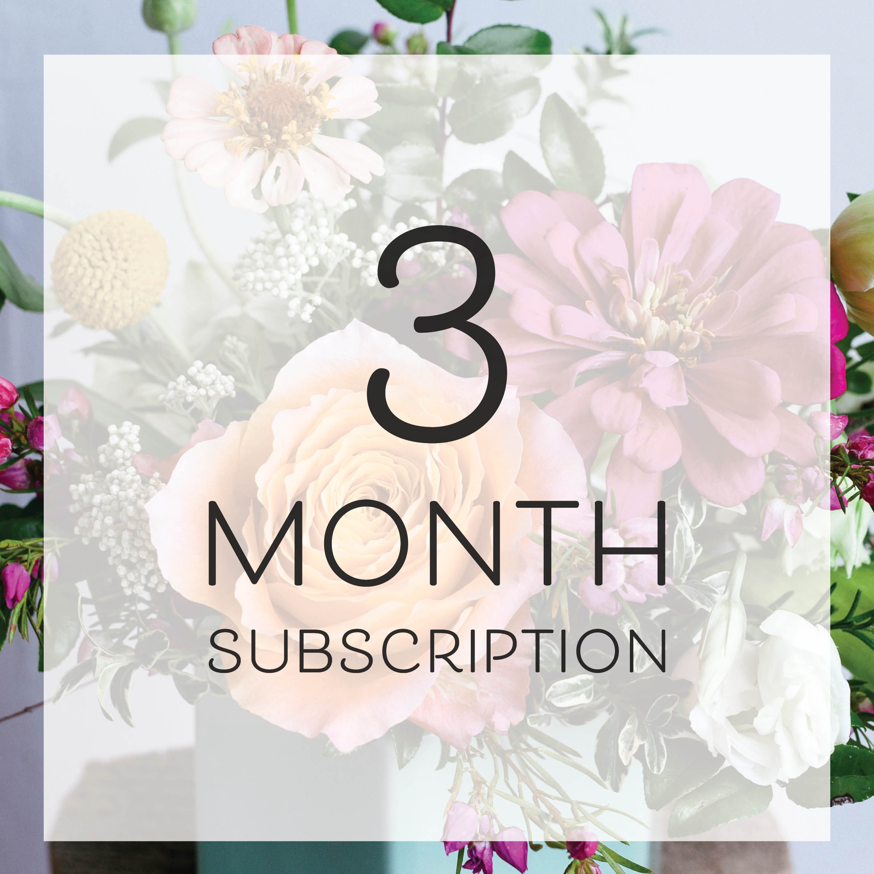 we waited dating site