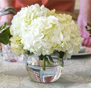 Charleston Blooms By The Flower Cottage Inc