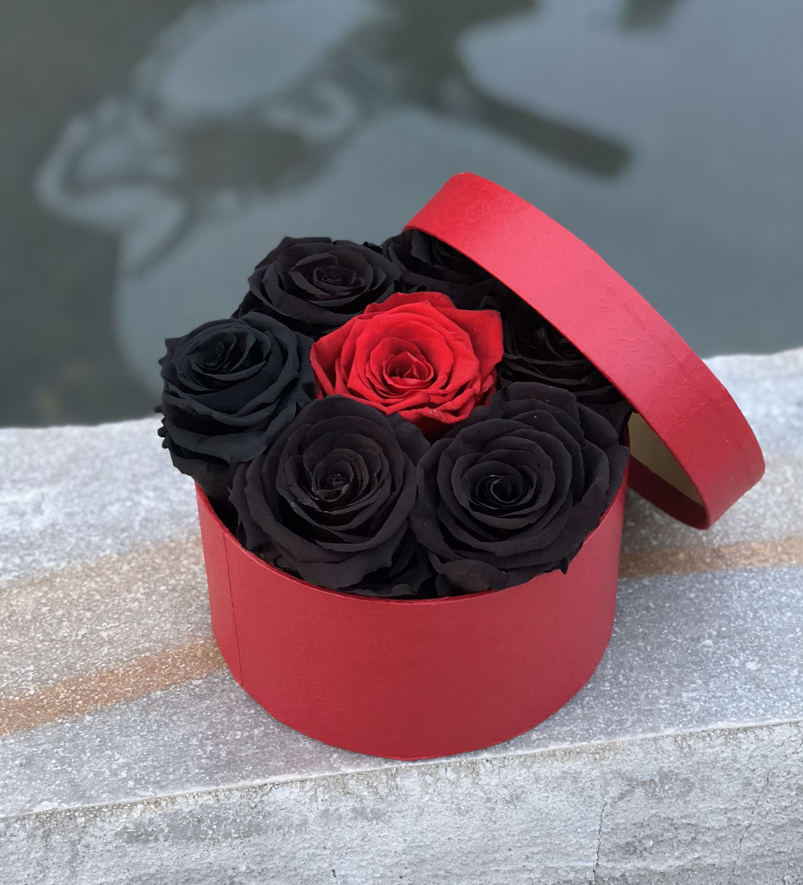 Black And Red >> One Year Roses Black And Red 6 7 Roses In Torrance Ca Andes Florist Black And Red >> One Year Roses Black And Red 6 7 Roses In Torrance Ca Andes Florist