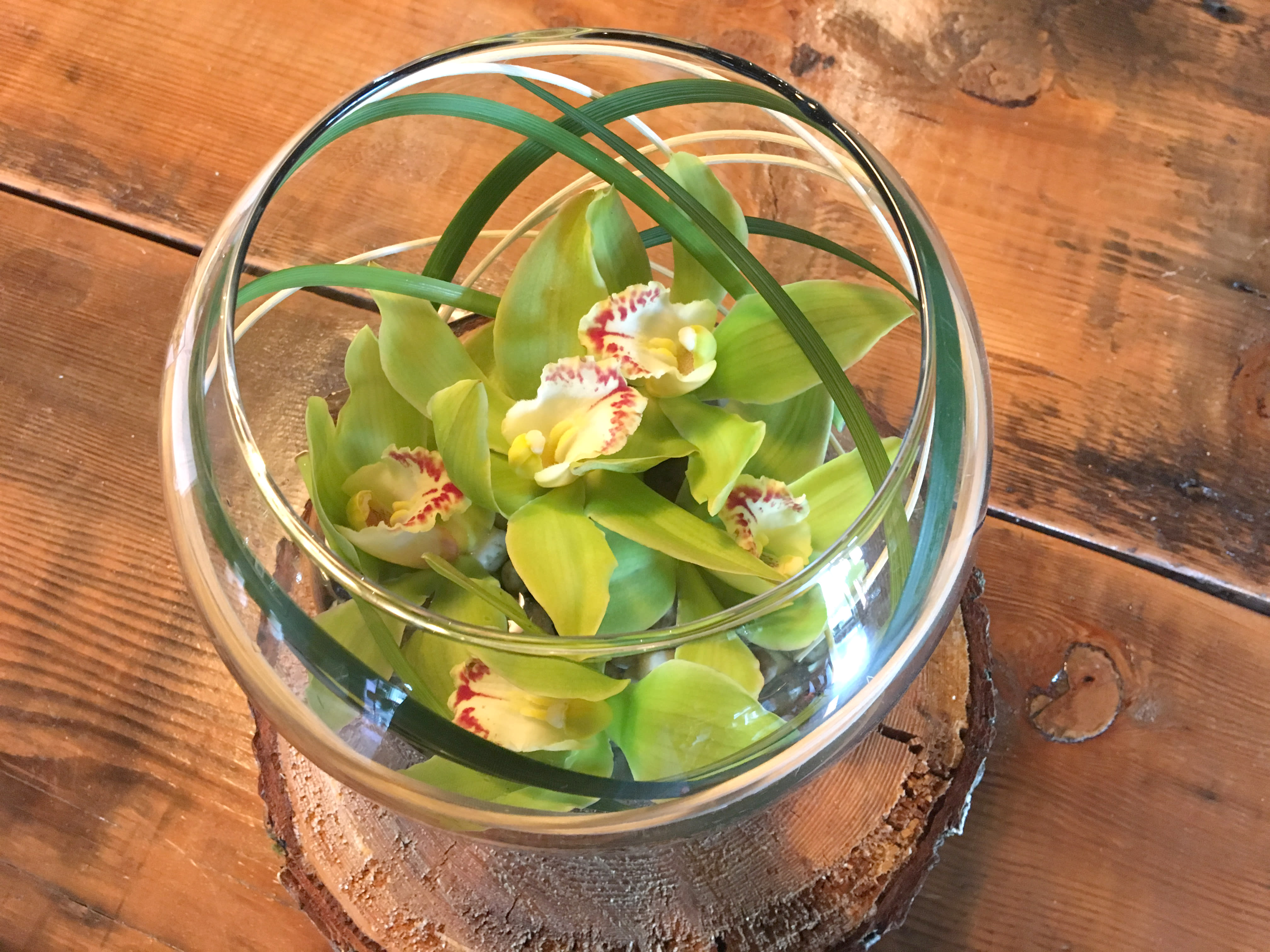 Zen Orchid Bowl in Westford, MA Westford Florist