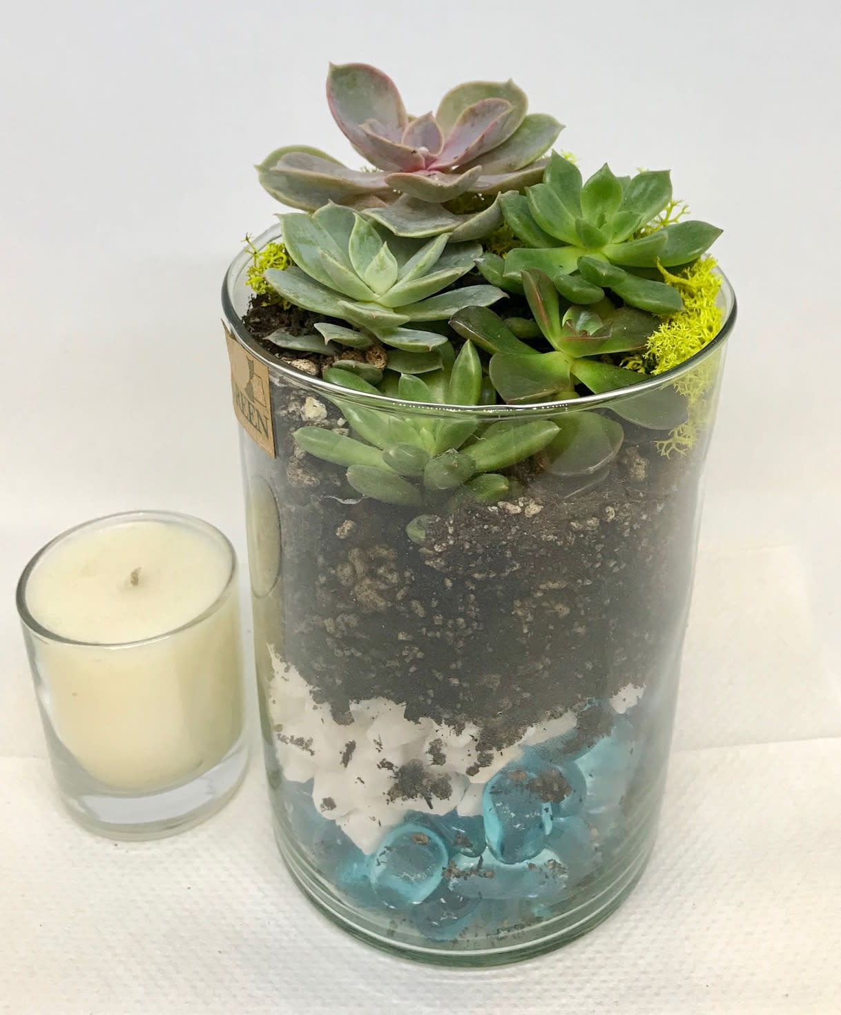 Succulent Dish Garden By Barb S Flowers