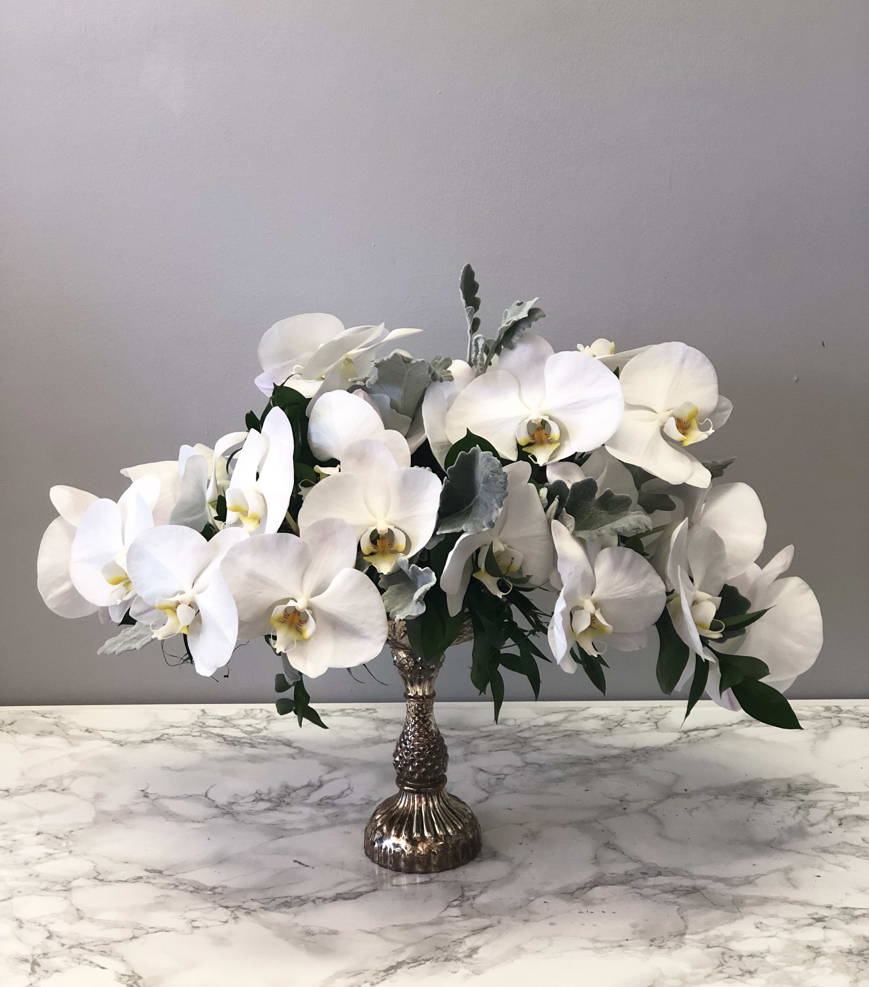 White Orchids Pedestal Cascade In Corona Del Mar Ca Botanica