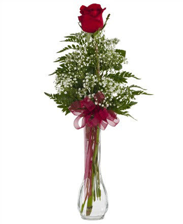 Single Rose In Vase By George S Flower Shop