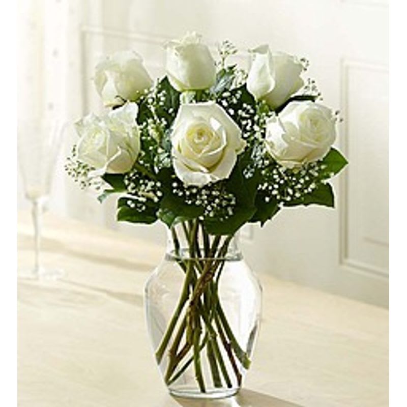 Half Dozen White Roses in San Antonio, TX | Janal ...