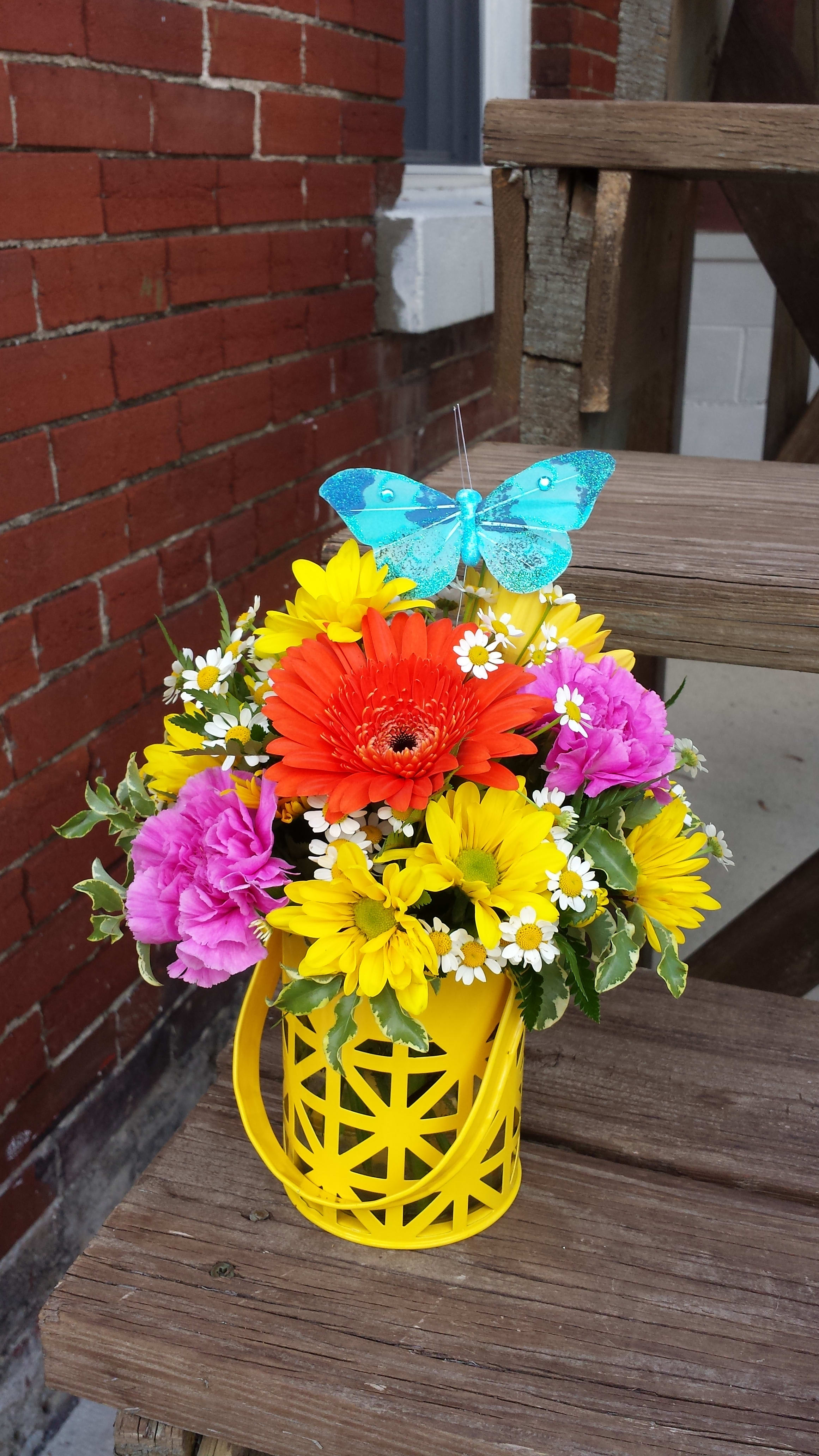 Summer Lights In Fort Madison Ia The Flower Cottage