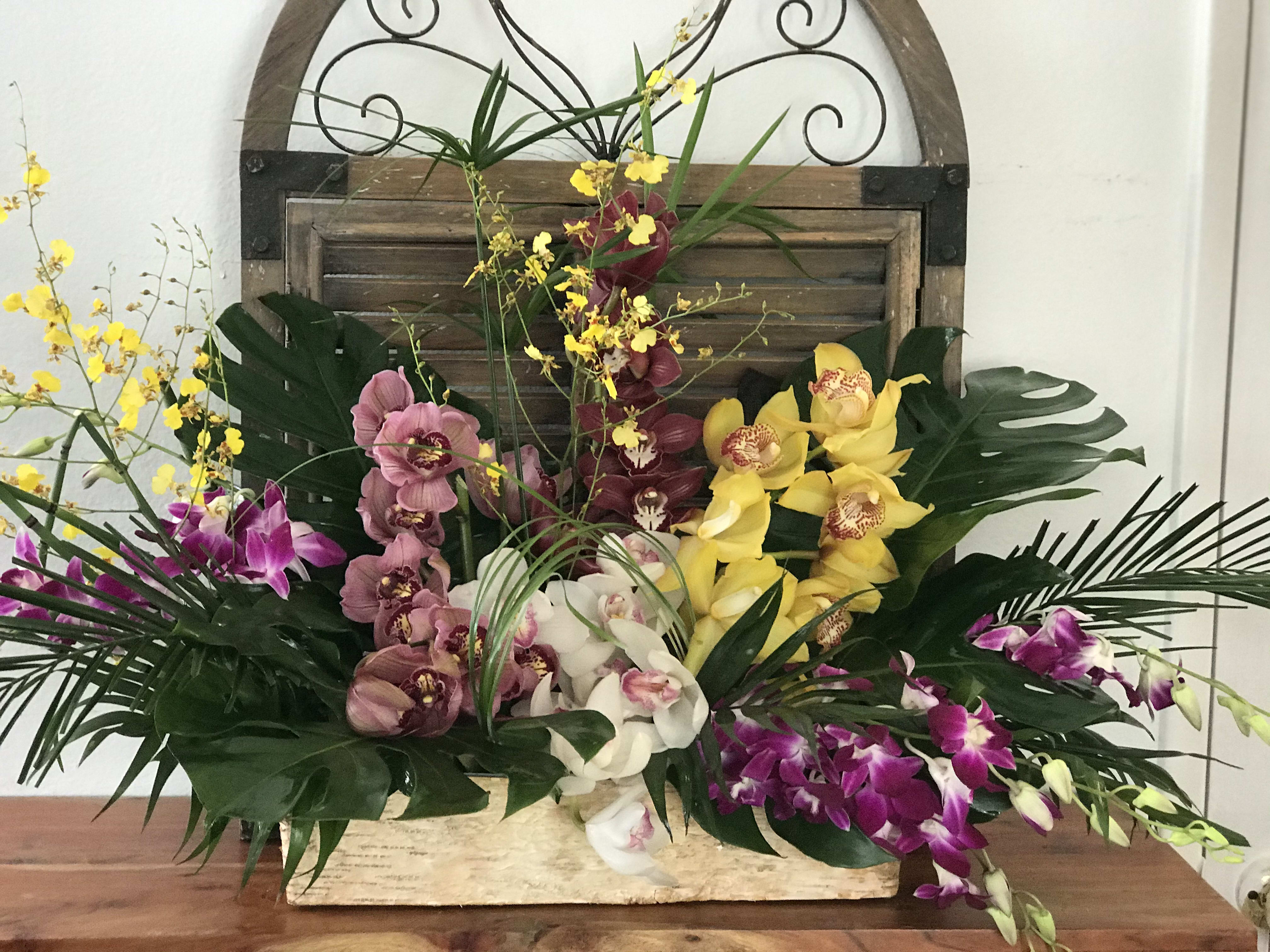 Just Orchids By Flowers By The Sea