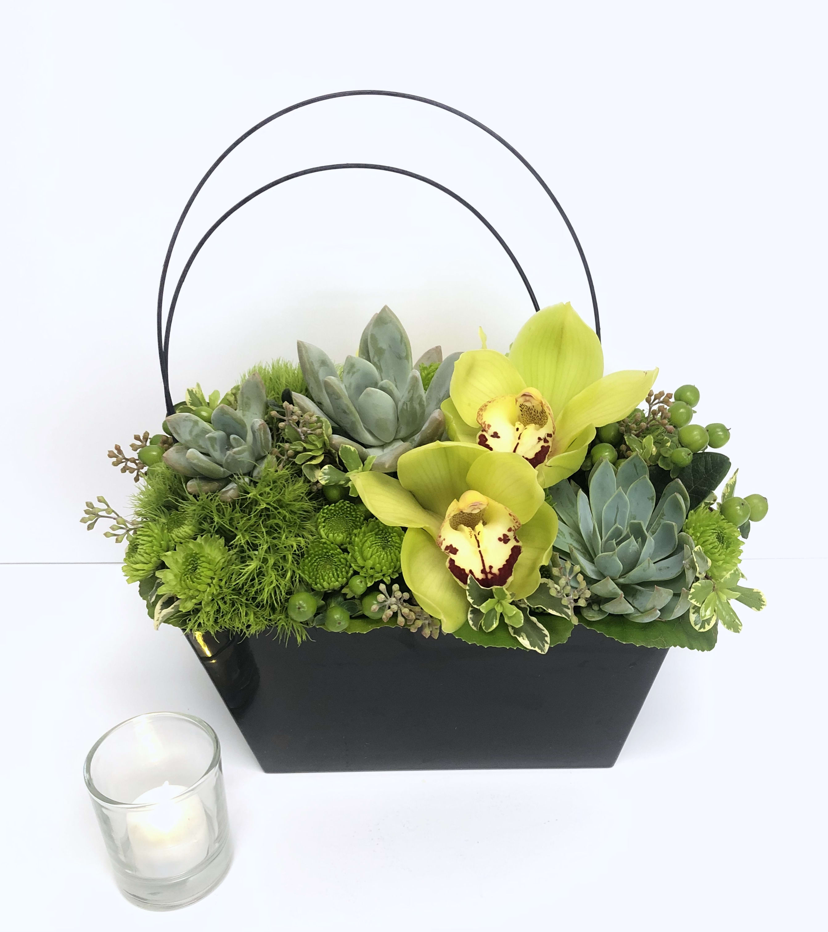 Succulents And Orchids in Phoenix, AZ | PJs Flowers & Events