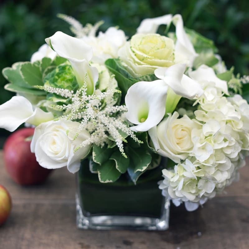 Low and Lush White in Cambridge, MA Hallie's Garden