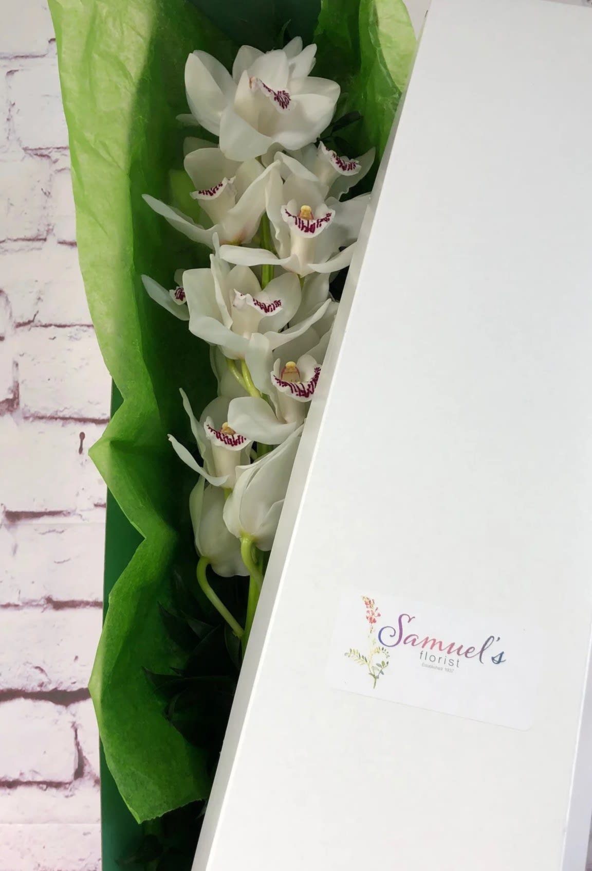 Classic Boxed Orchids In Burbank Ca Samuel S Florist