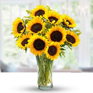 teddy bear sunflower bouquet