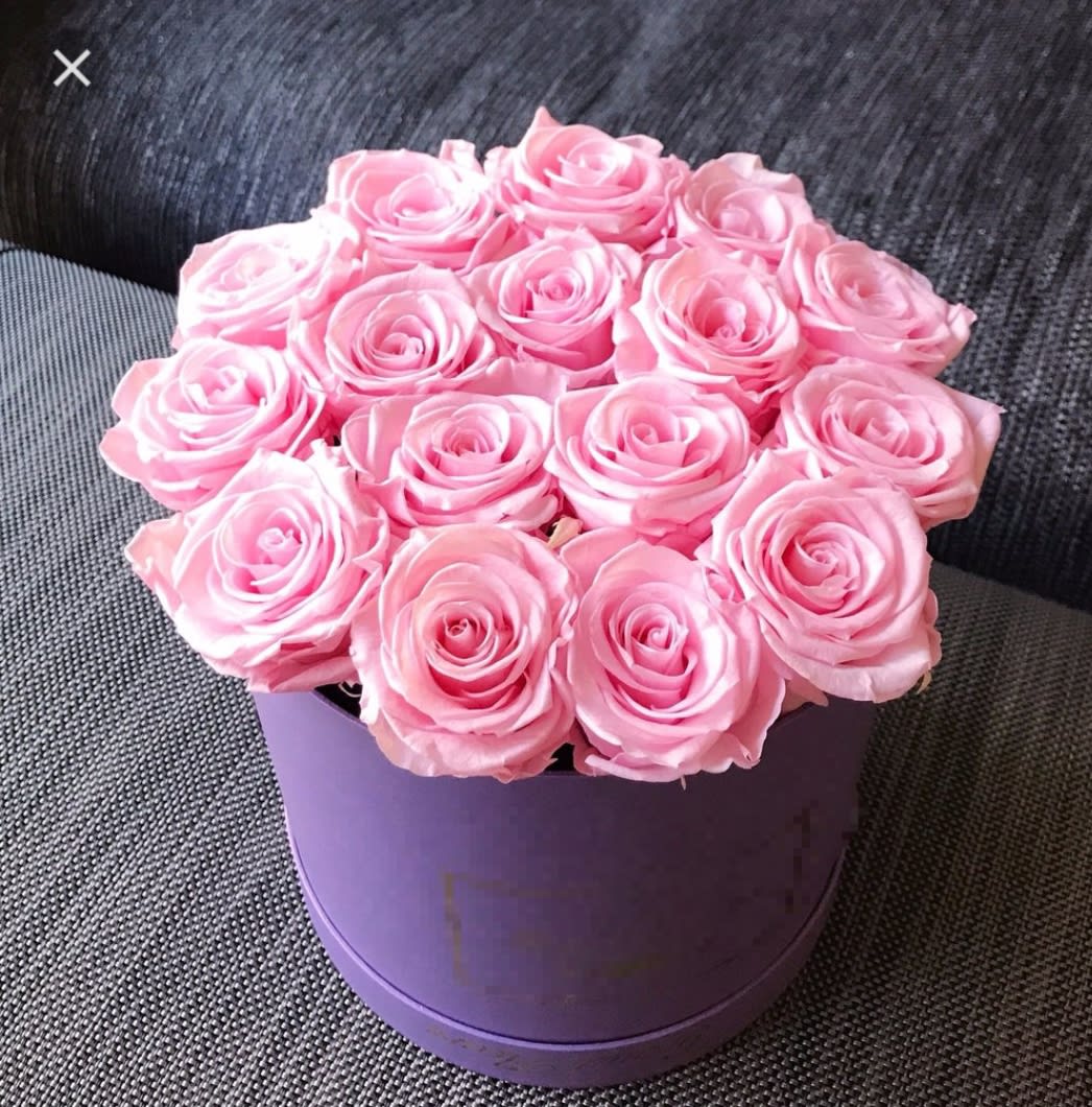 Coming Up Roses Pink in Katy, TX | Passion Flowers