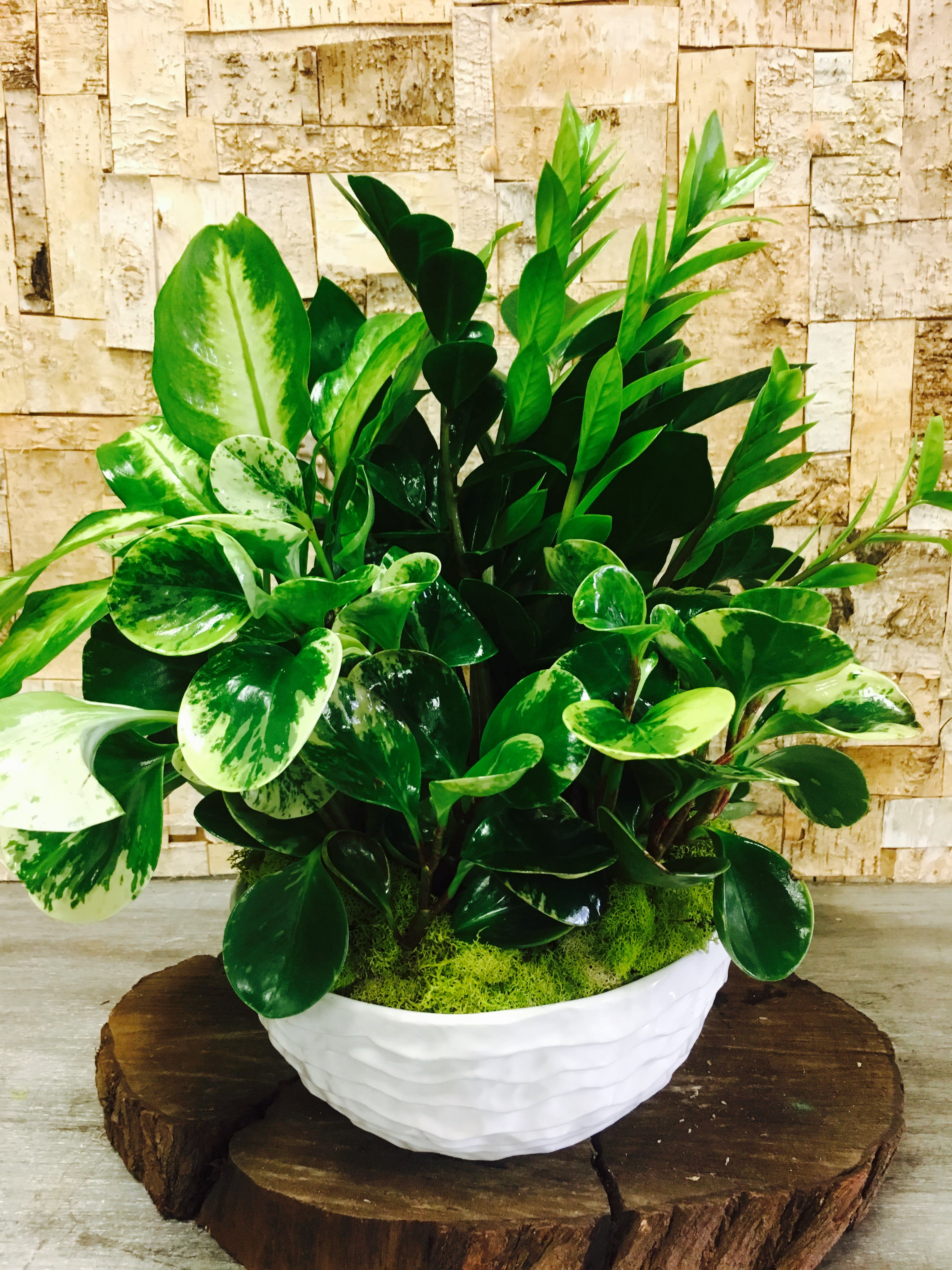 Peaceful Dish Garden By Natural Simplicity