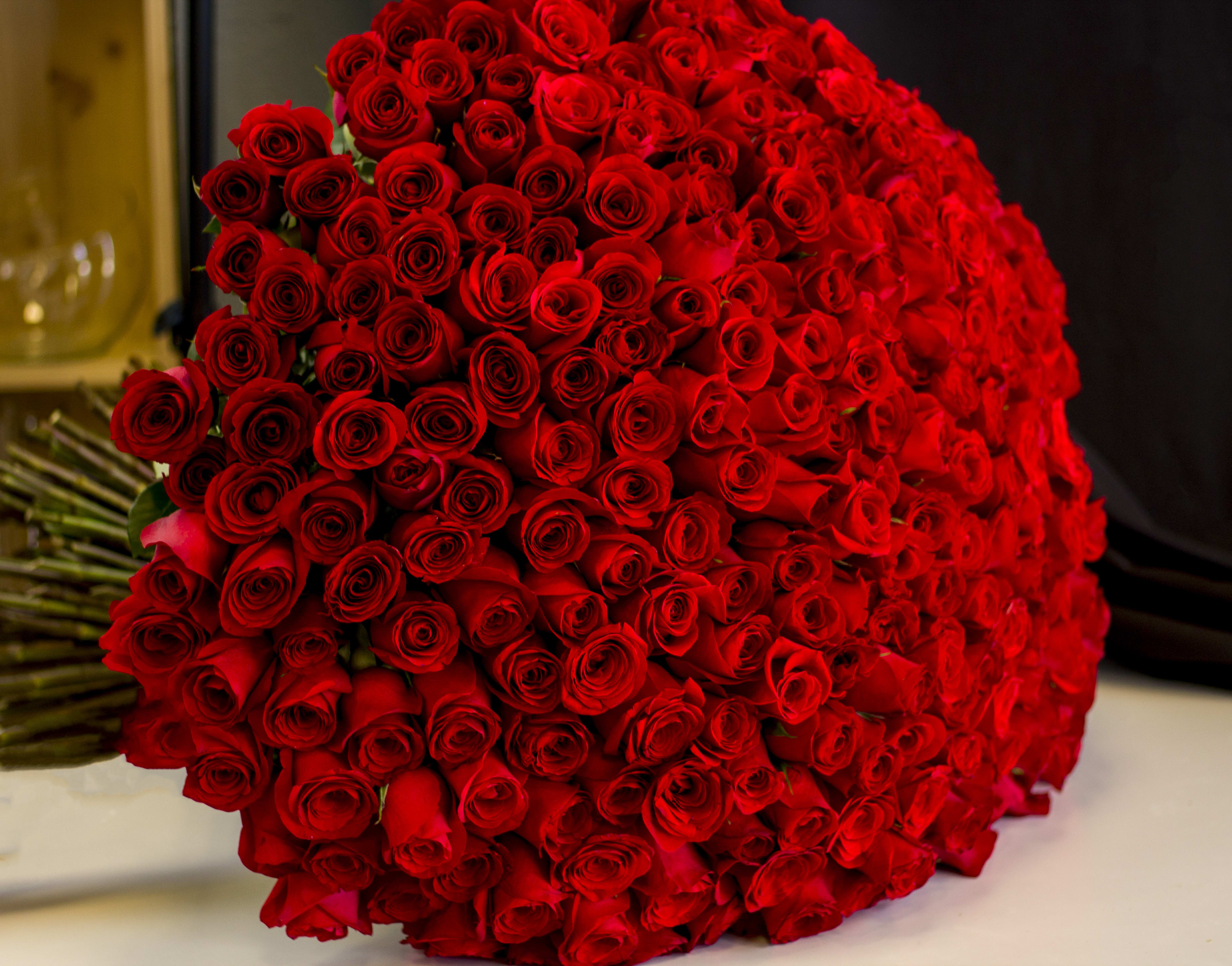 300 Red Roses Bouquet In Miami Fl Luxury Flowers Miami 