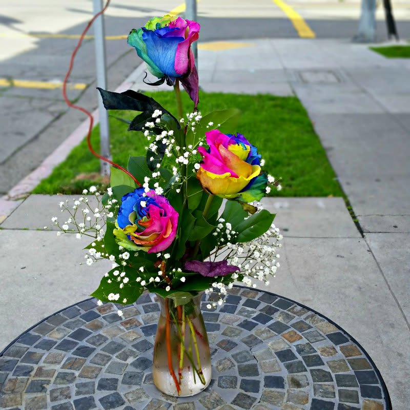 Triple Rainbow Three Rainbow Roses In A Vase By A Beautiful