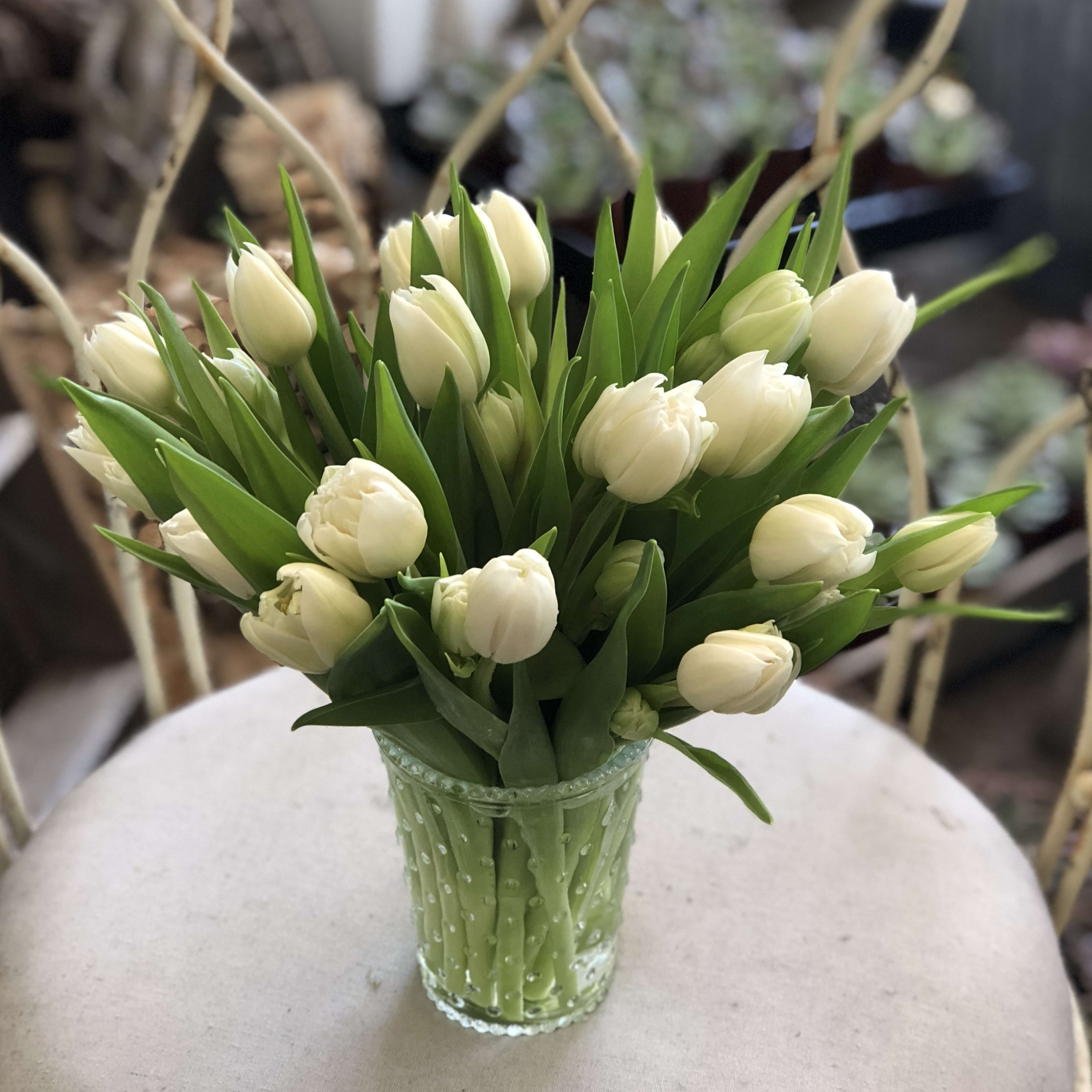 Urban Gardener Tiptoe Through The Tulips In Newport Beach Ca