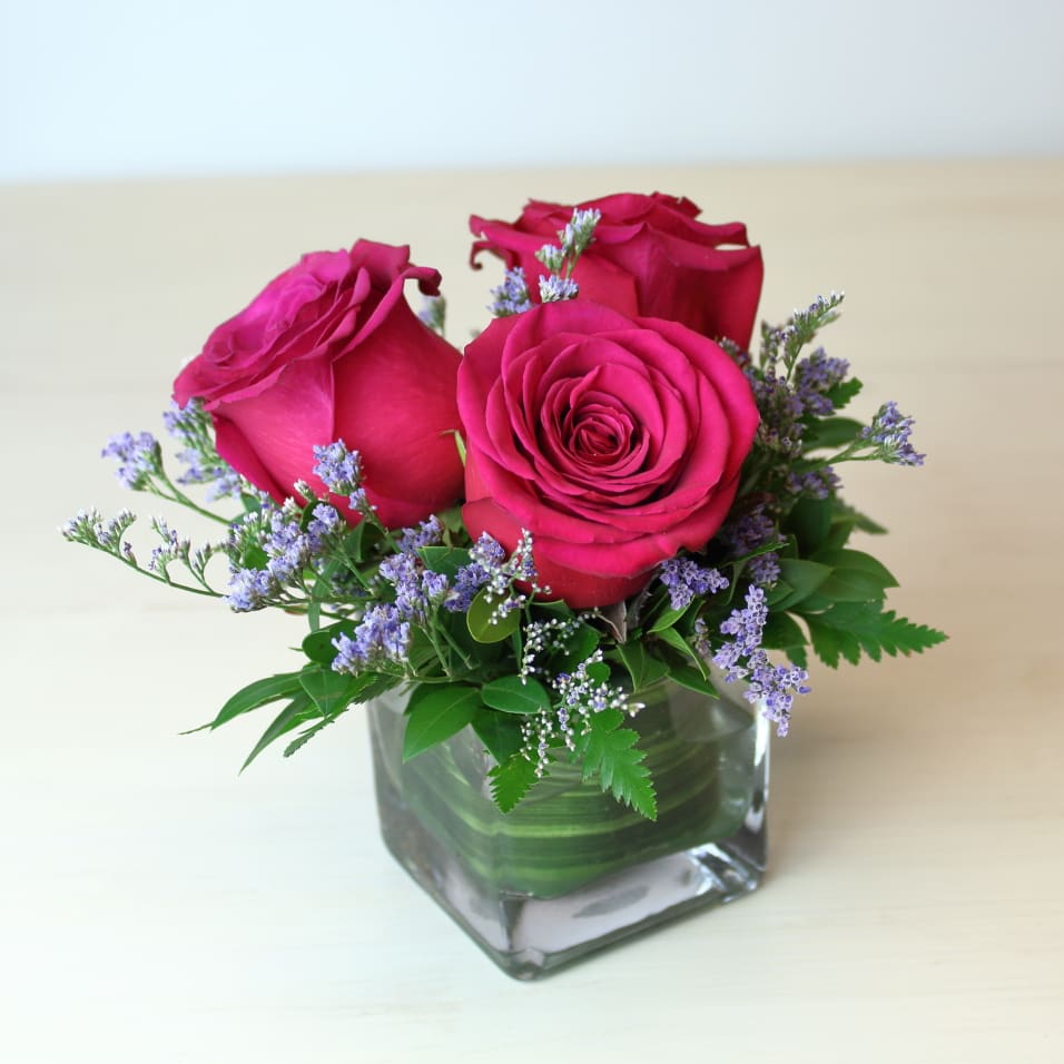 Hot Pink Rose Trio in Annapolis, MD | York Flowers Annapolis