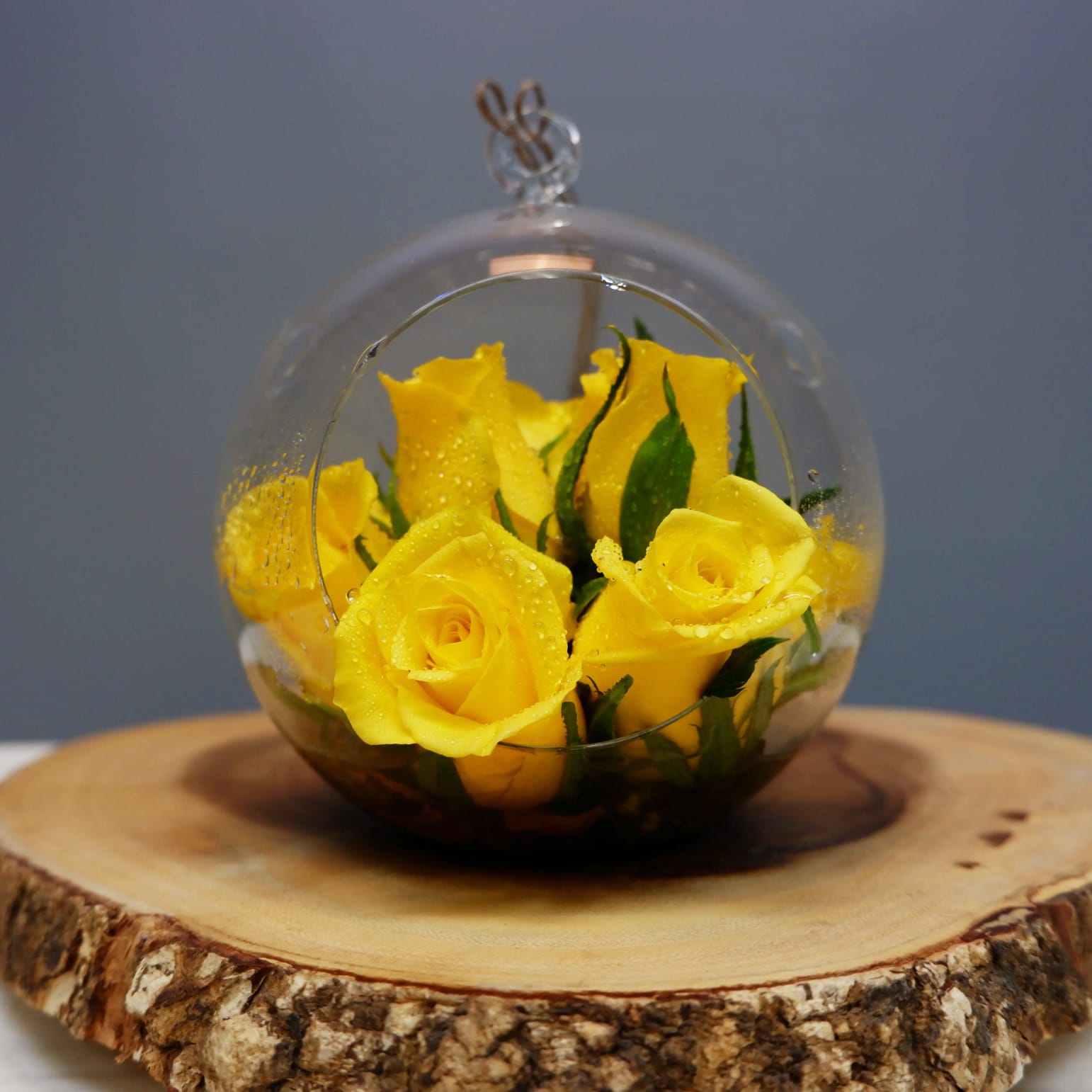 Yellow Baby Rose Terrarium (VAL04) in Claremont, CA Sherwood Florist