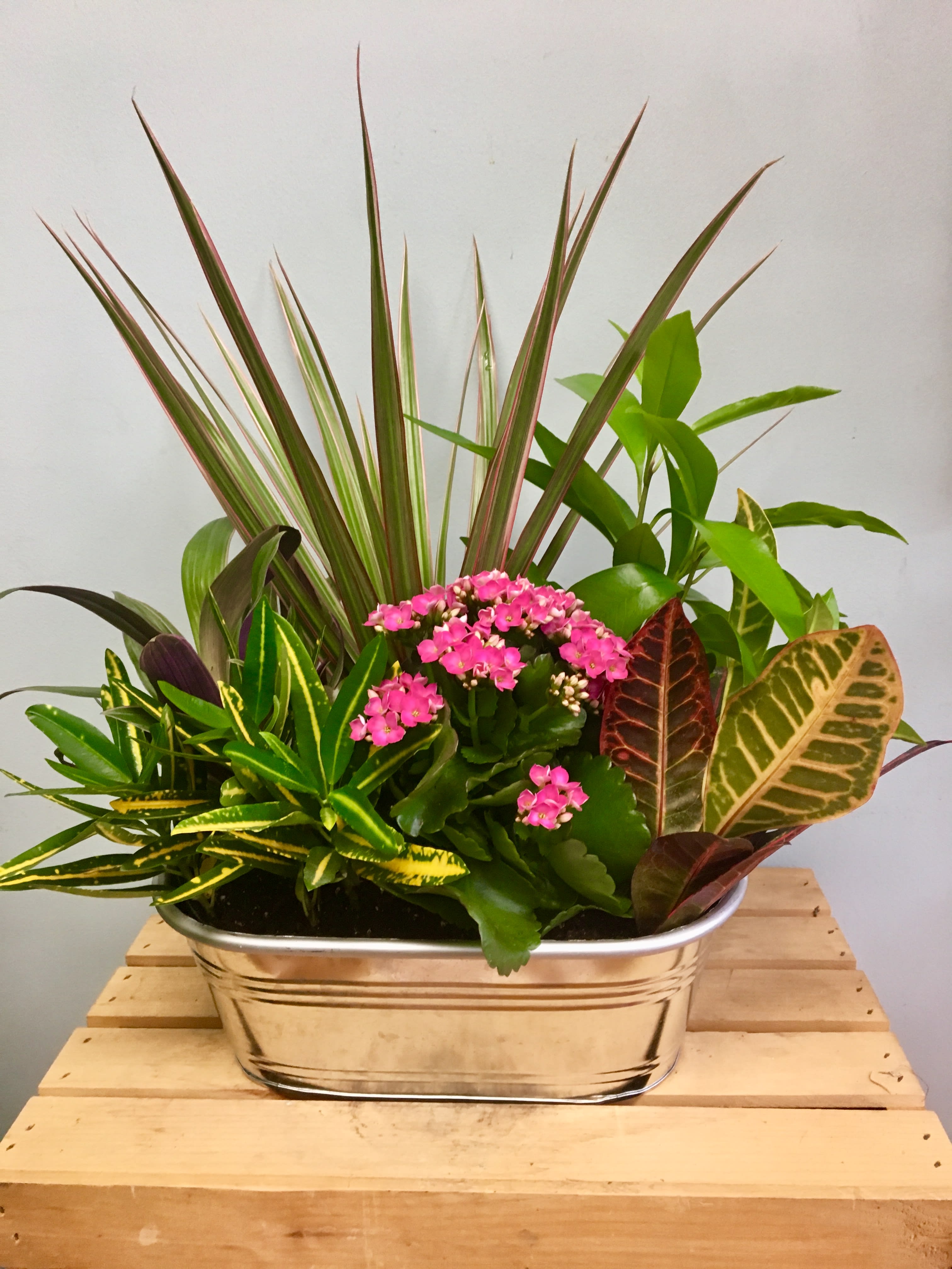 Galvanized Oval Dish Garden By Coady Florist