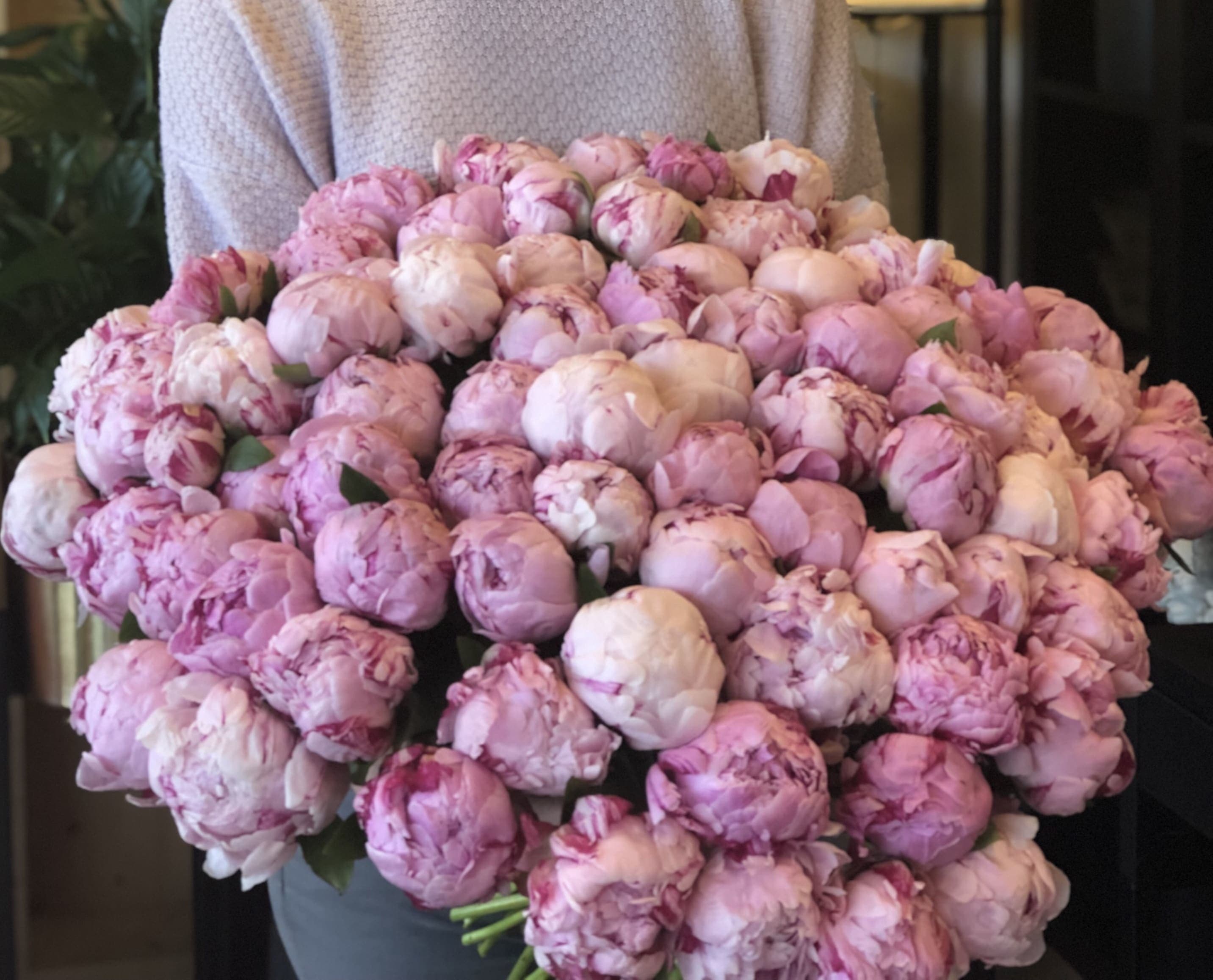 peonies