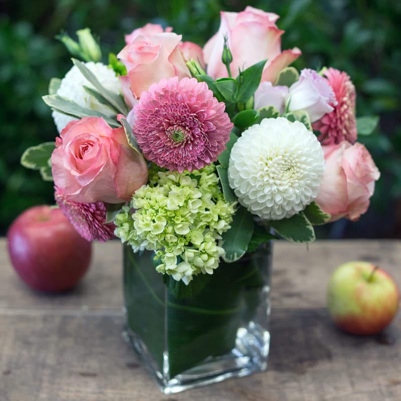 Soft and Feminine in Cambridge, MA Hallie's Garden