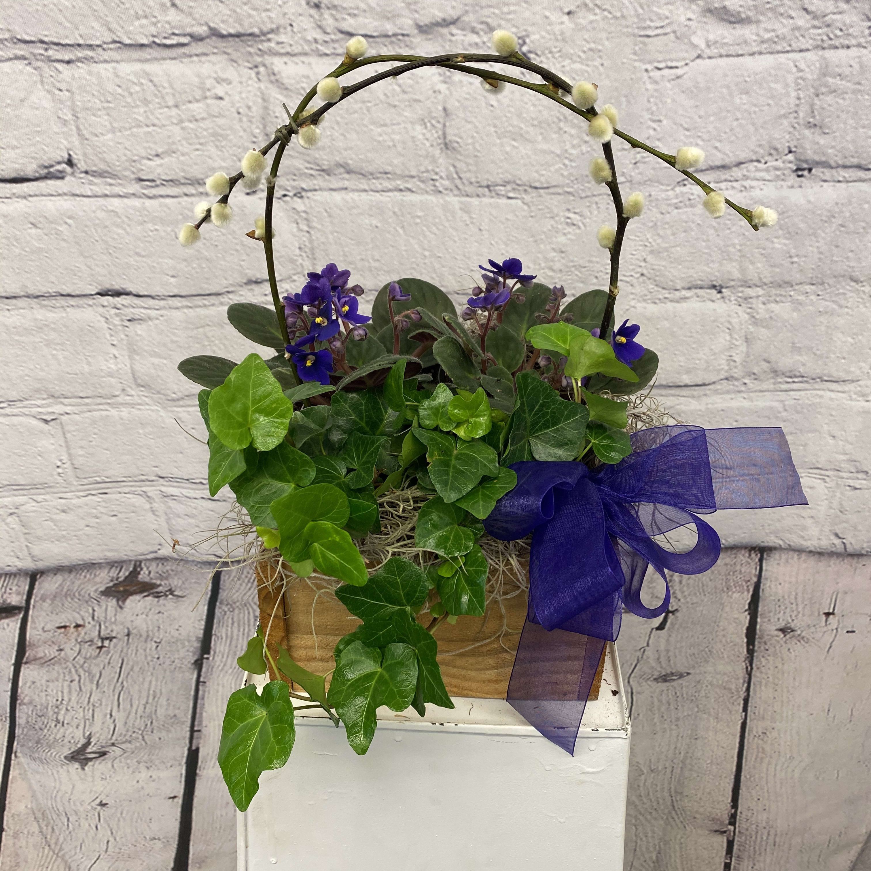 Blooming Violet Box in Peabody, MA Evans Flowers