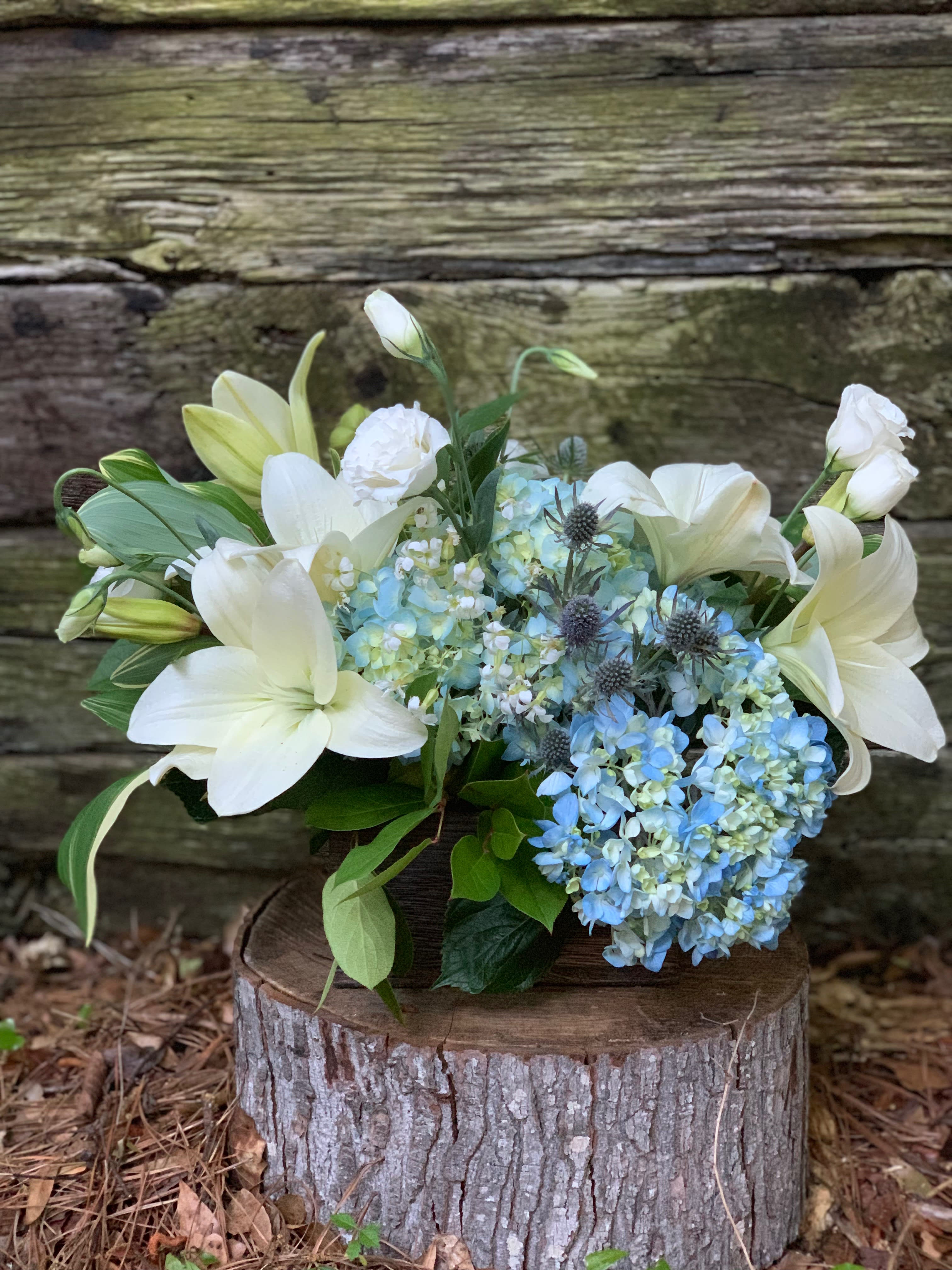 Hydrangeas and Garden flowers in Kitty Hawk, NC Bells and Whistles at