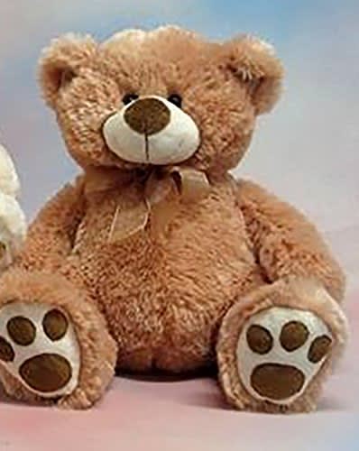 teddy bear order