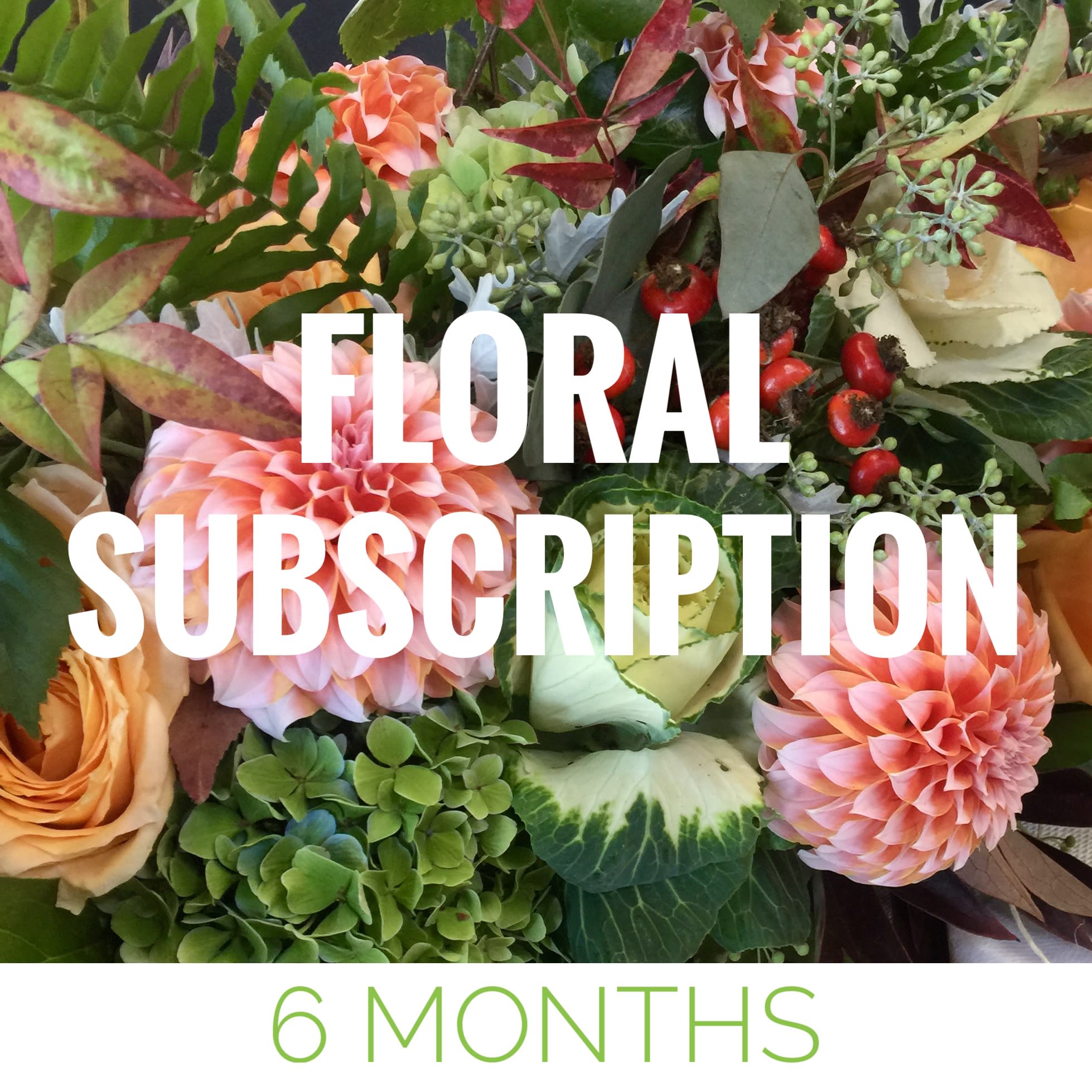 6 Month Floral Subscription in Seattle, WA Fiori Floral Design