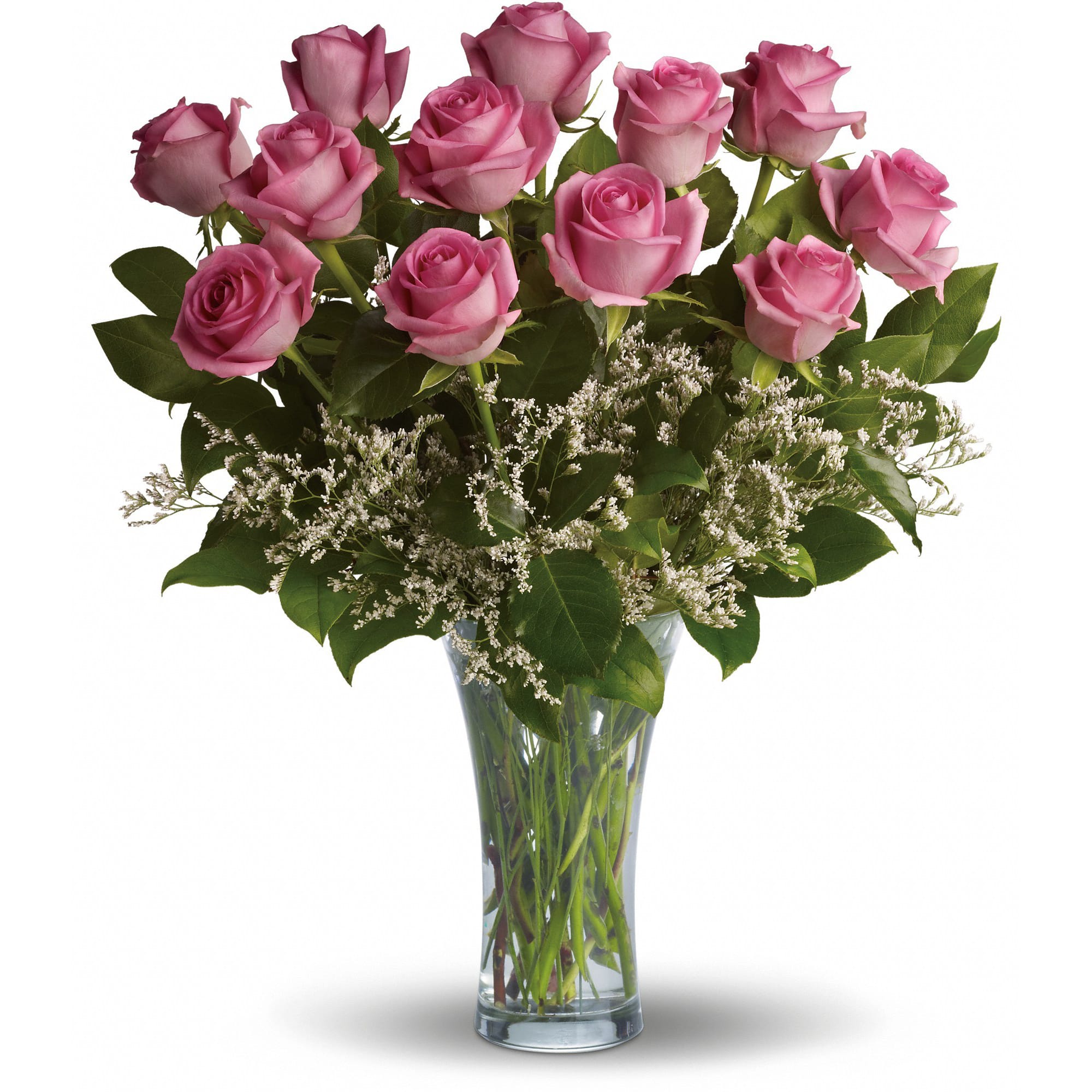 Make Me Blush Dozen Long Stemmed Pink Roses In Cookeville Tn Abel Gardens