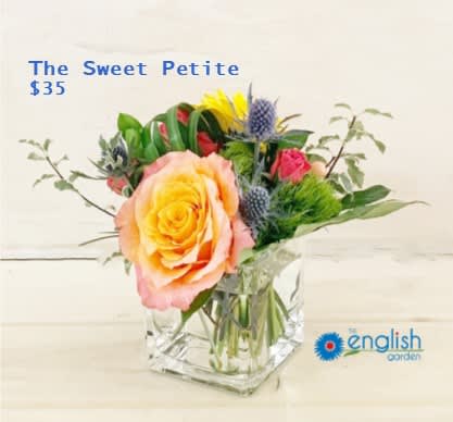 The Sweet Petite By The English Garden