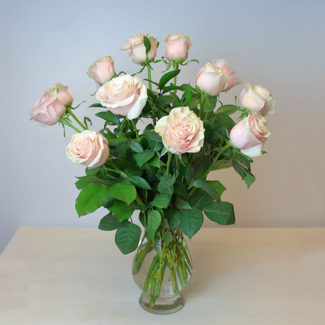 Long Stemmed Pink Roses in Annapolis, MD | York Flowers ...