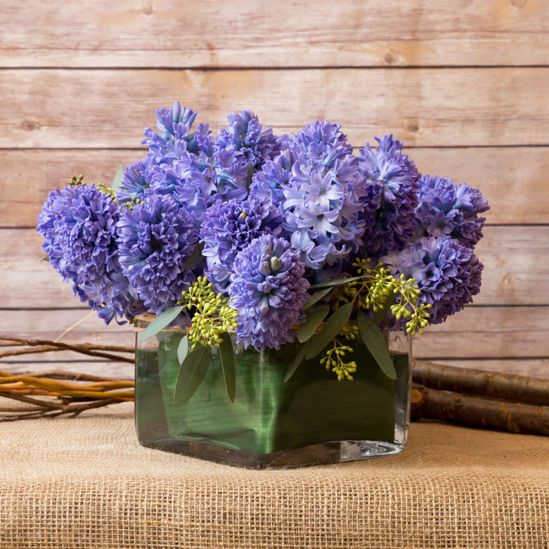 RESPLENDENT HYACINTH ARRANGEMENT in New York, NY | Flowers by Philip