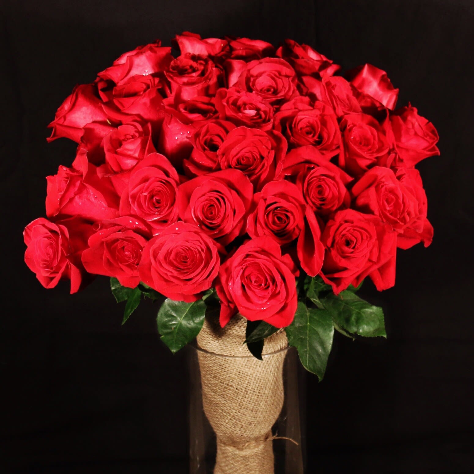 LUXURY ROSES in New York, NY Flowers by Philip