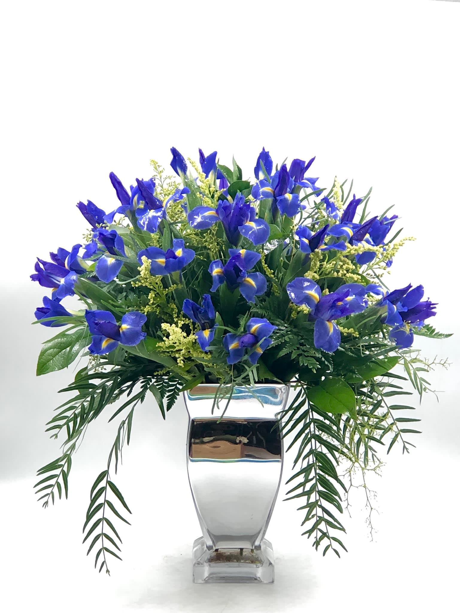 Blue Iris in Fairfax, VA Fresh Flowers Florist