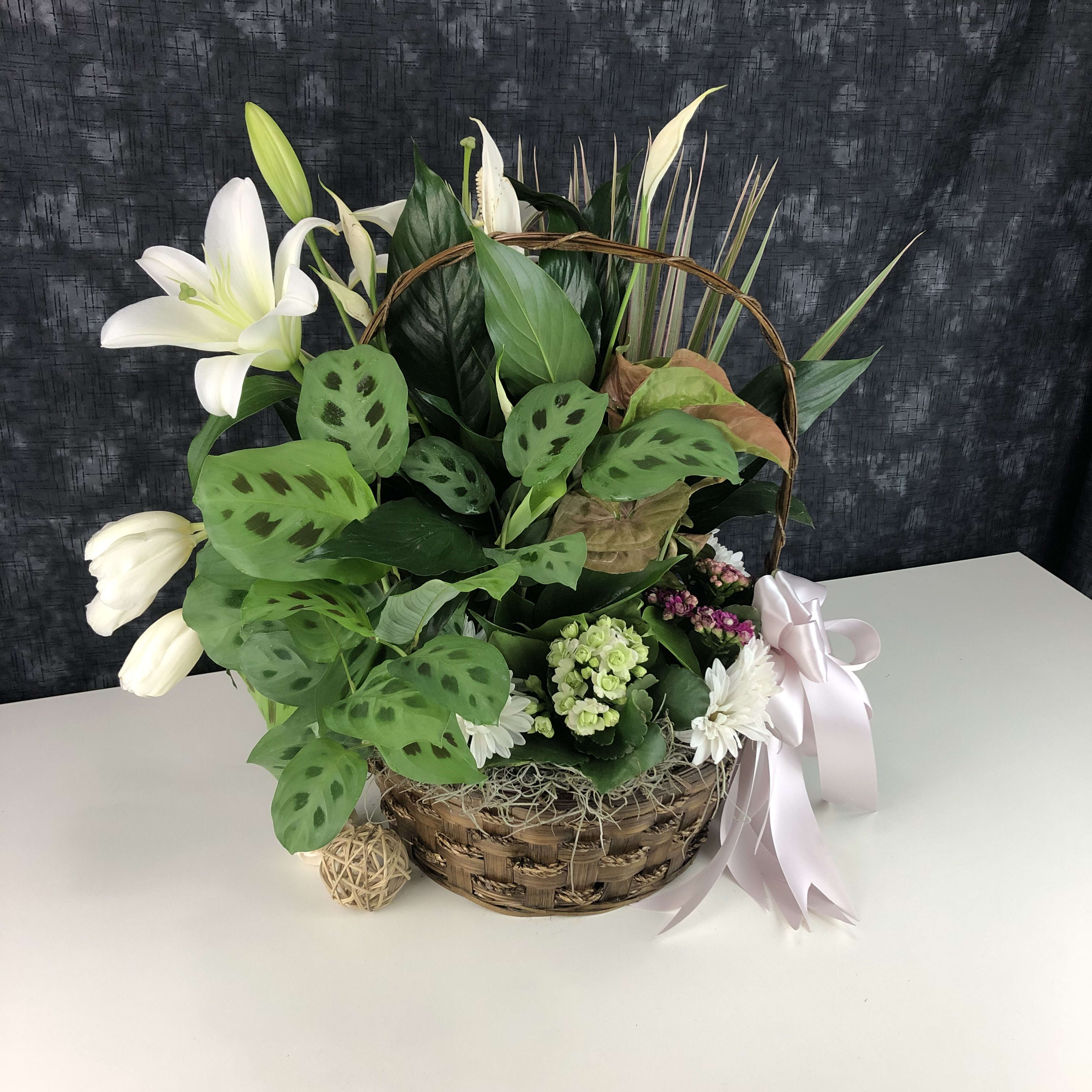 Dish Garden Basket With Blooming Plants And Cut Flowers By Tognoli