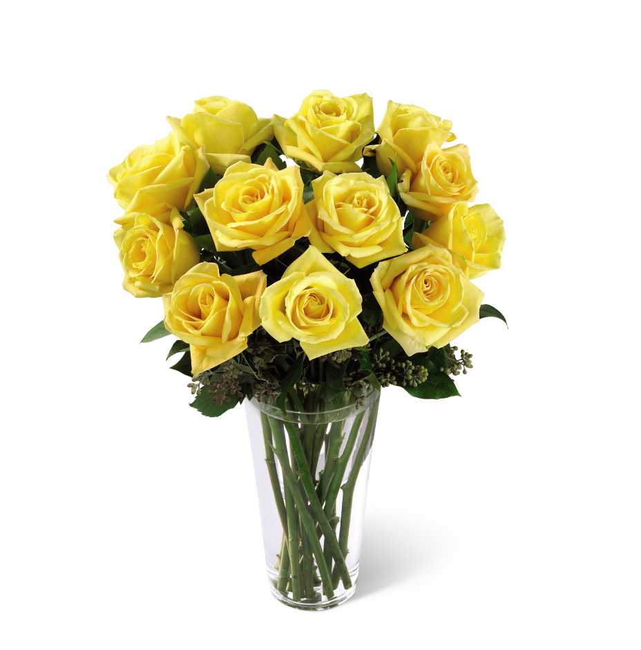12 Yellow Rose Bouquet in ALEXANDRIA, VA | FOXGLOVE FLOWERS